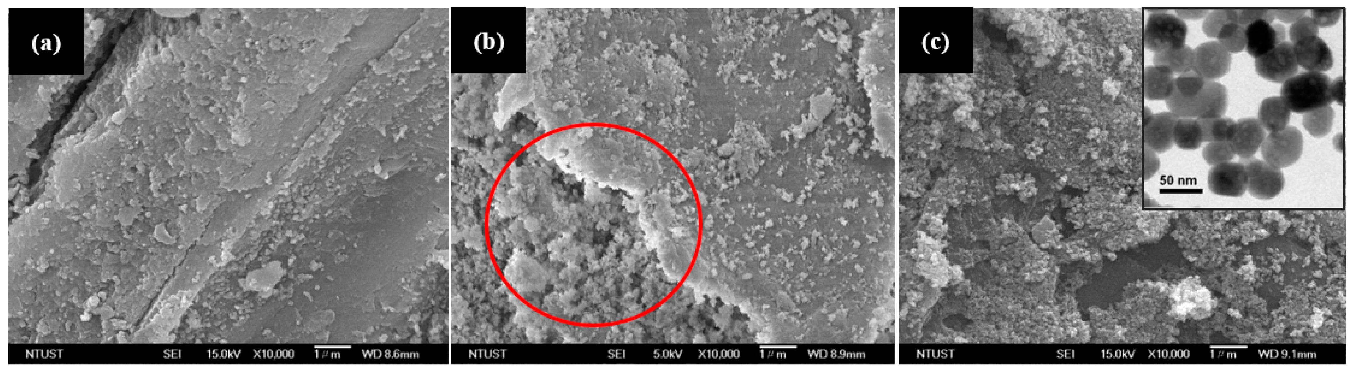 Molecules 26 05867 g001