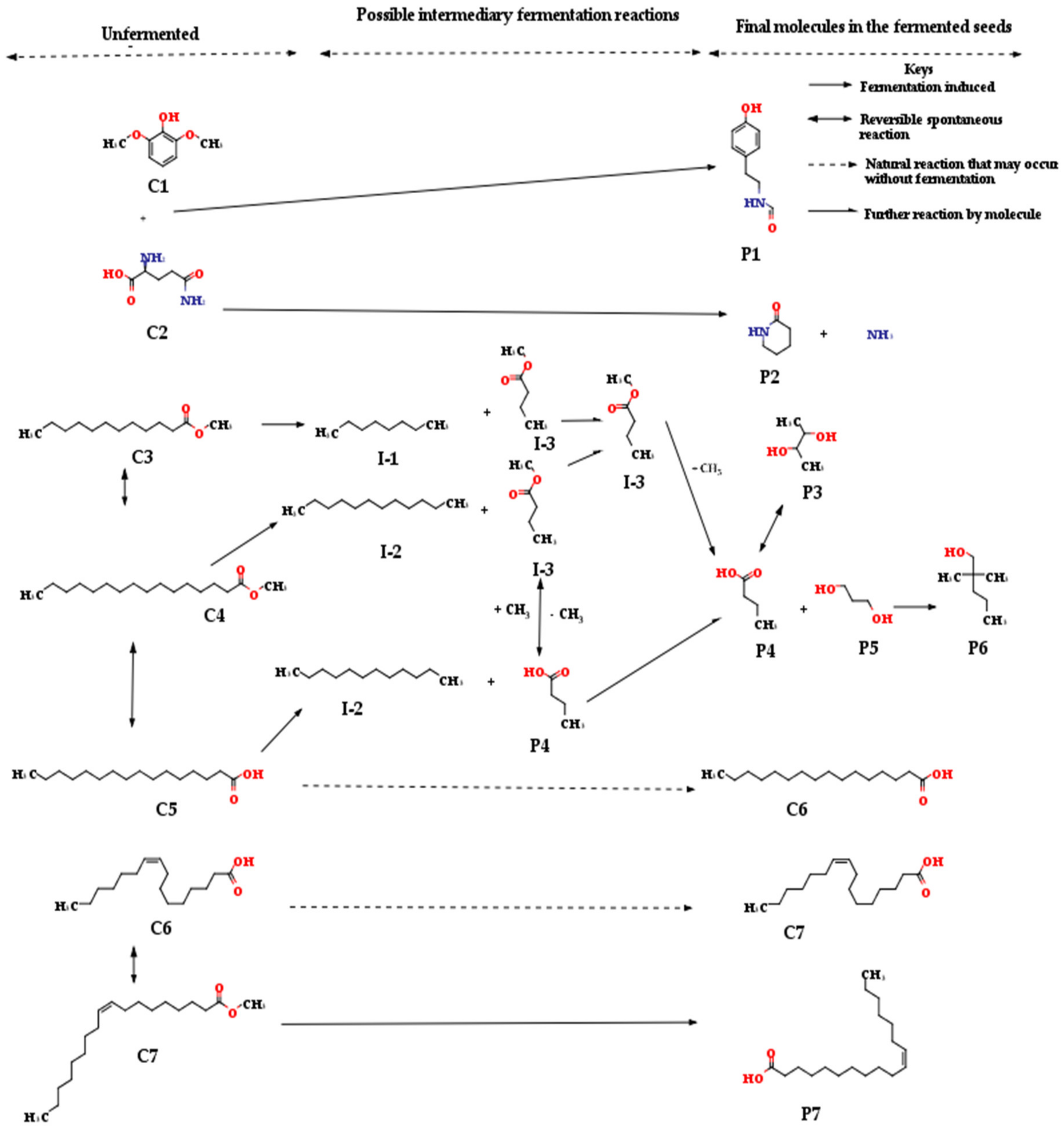 Molecules 26 05874 g002