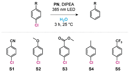 Molecules 26 05882 i001