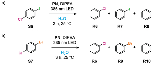 Molecules 26 05882 i002