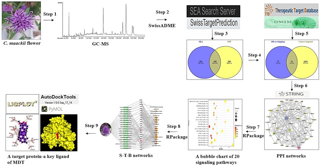 Molecules 26 05904 g001