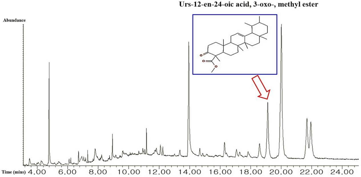 Molecules 26 05904 g002