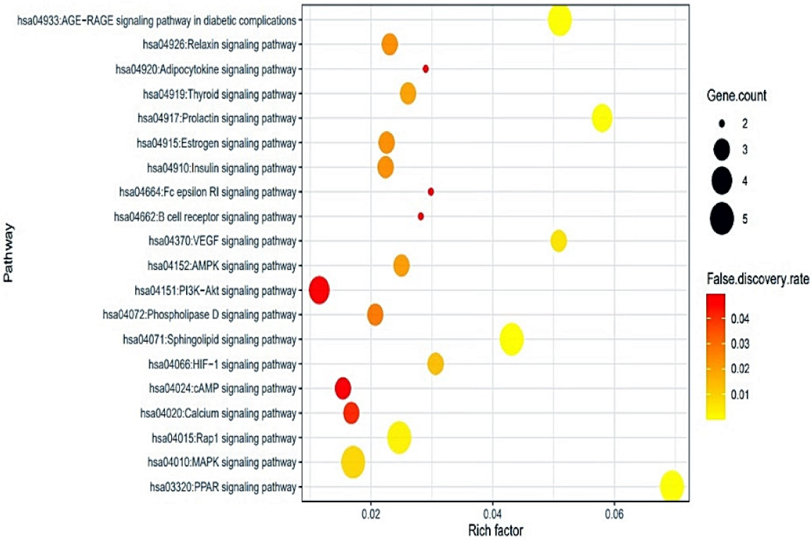 Molecules 26 05904 g005
