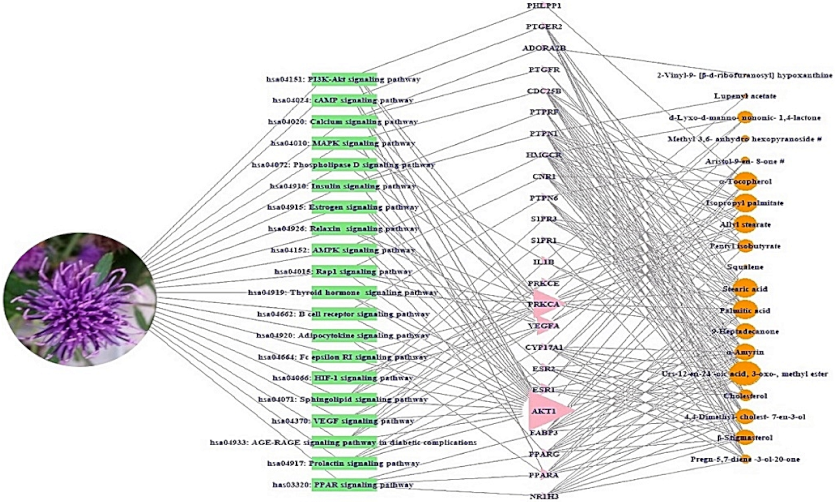 Molecules 26 05904 g006