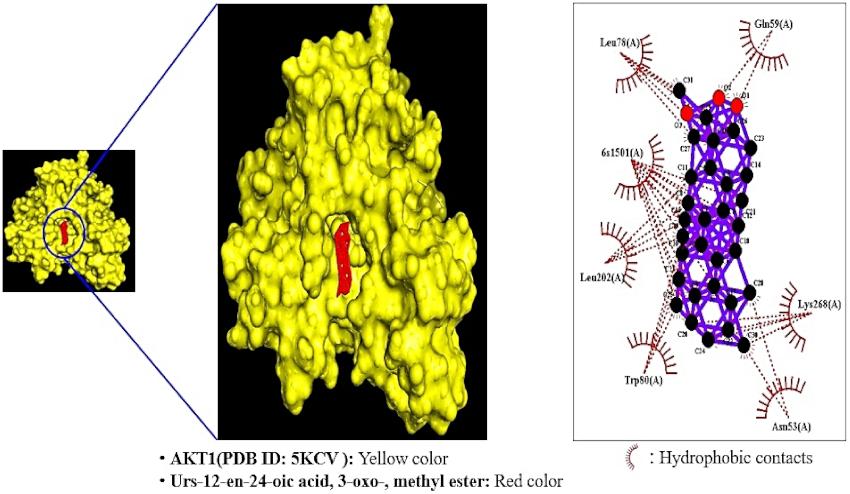 Molecules 26 05904 g007