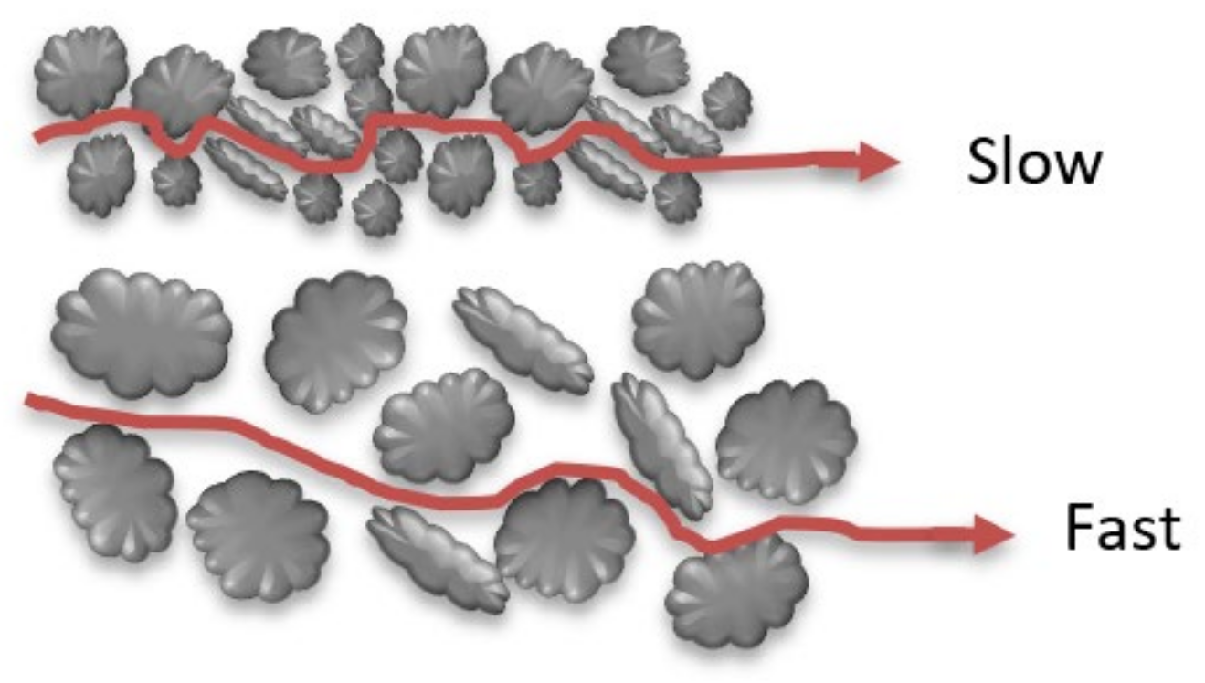 Molecules 26 05913 g003