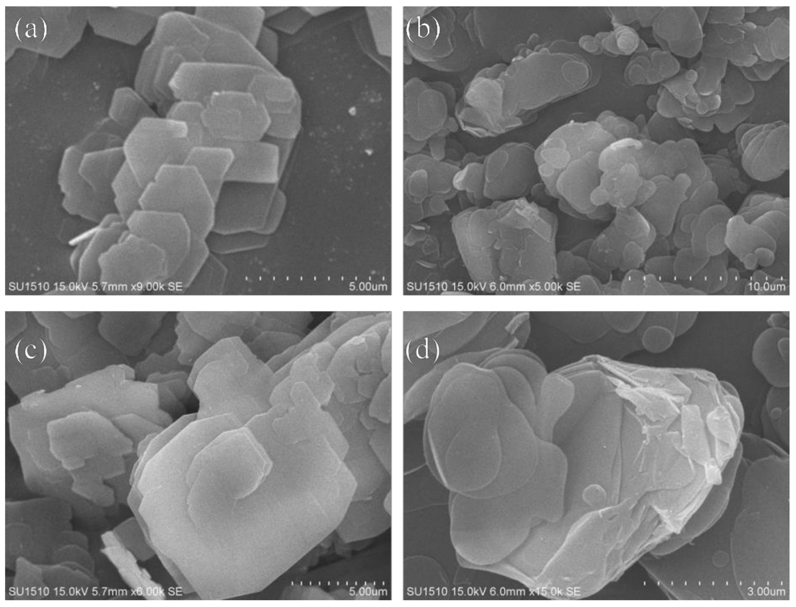 Molecules 26 05916 g005