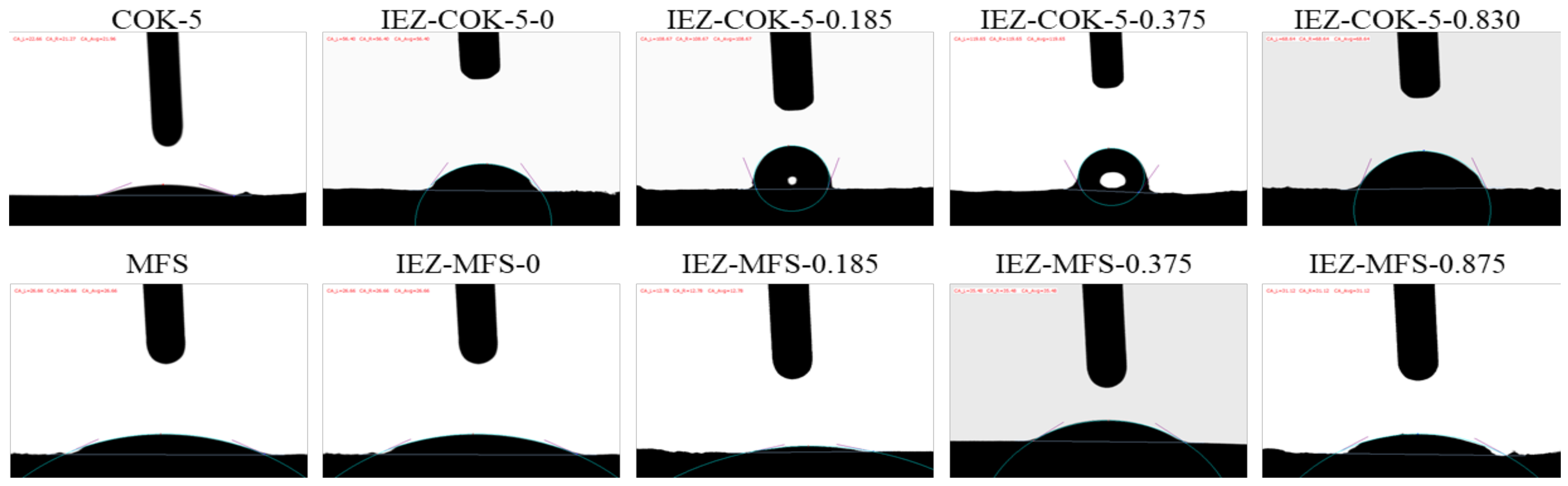 Molecules 26 05916 g009