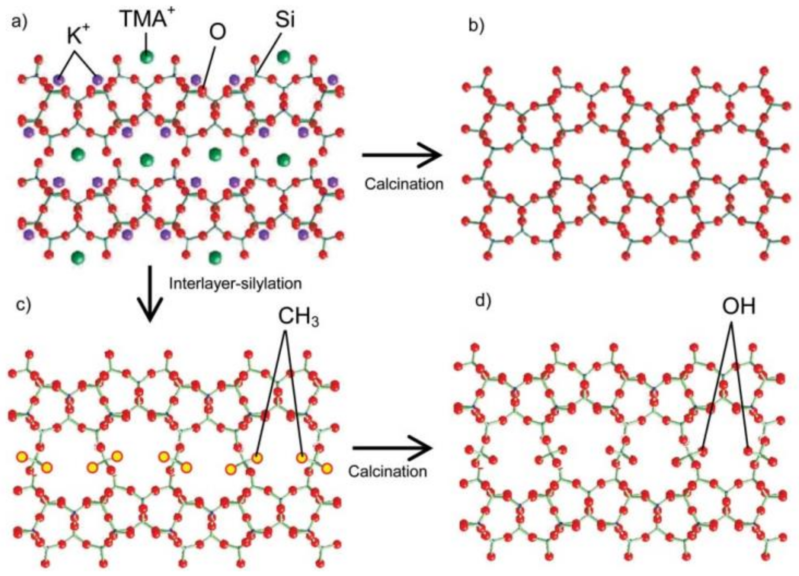 Molecules 26 05916 g014