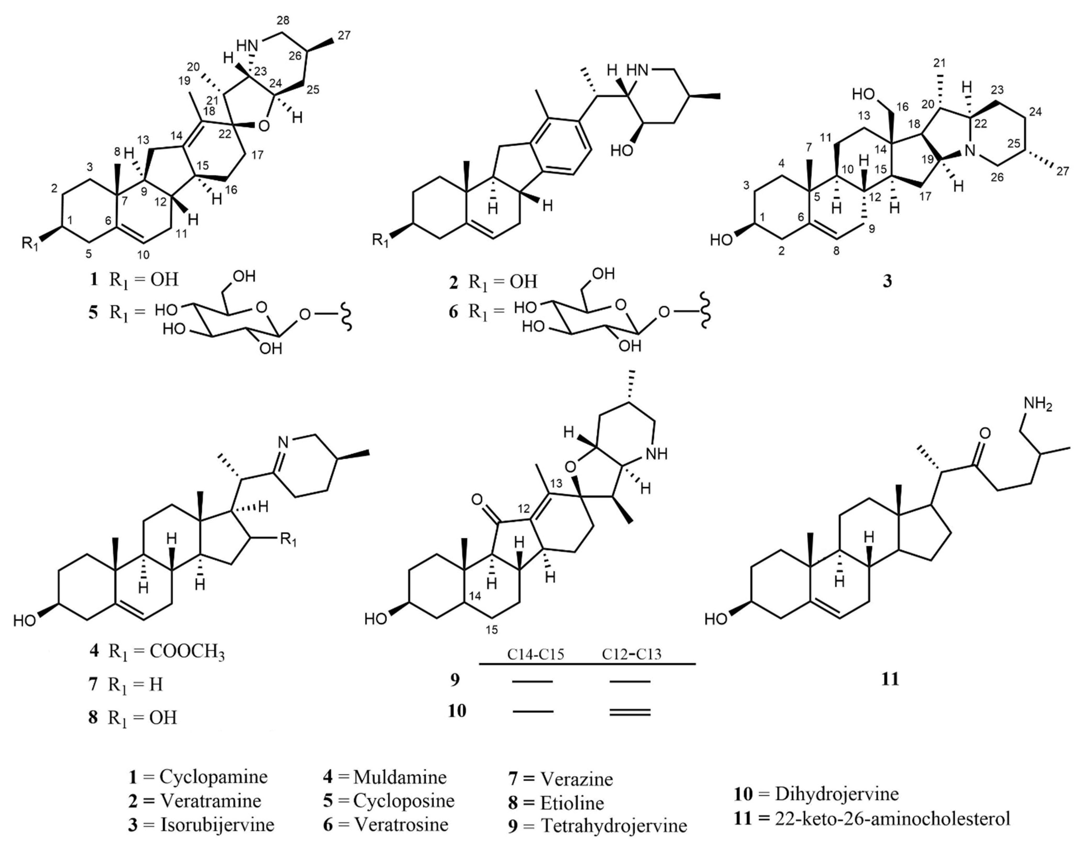 Molecules 26 05934 g001 Molecules 26 05934 g001