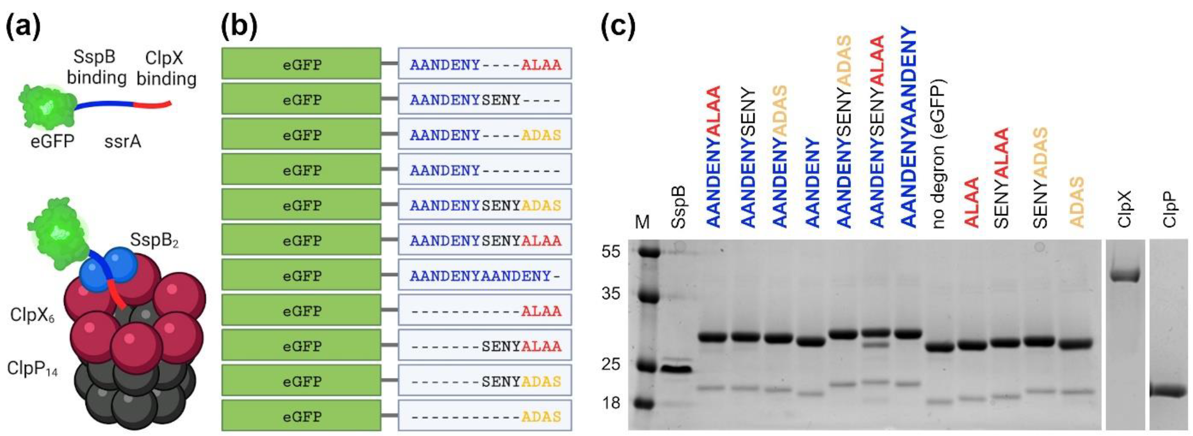Molecules 26 05936 g001