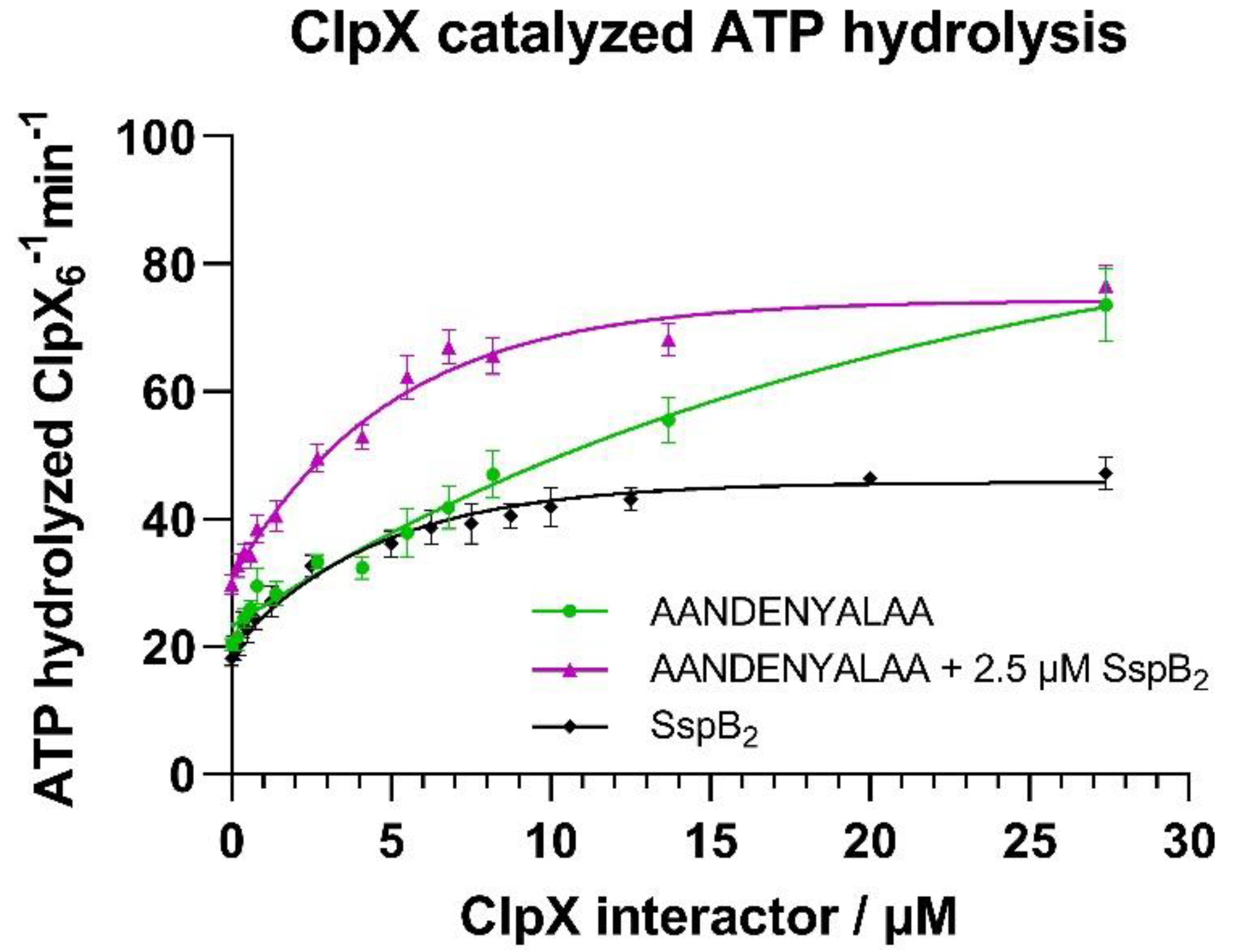 Molecules 26 05936 g002
