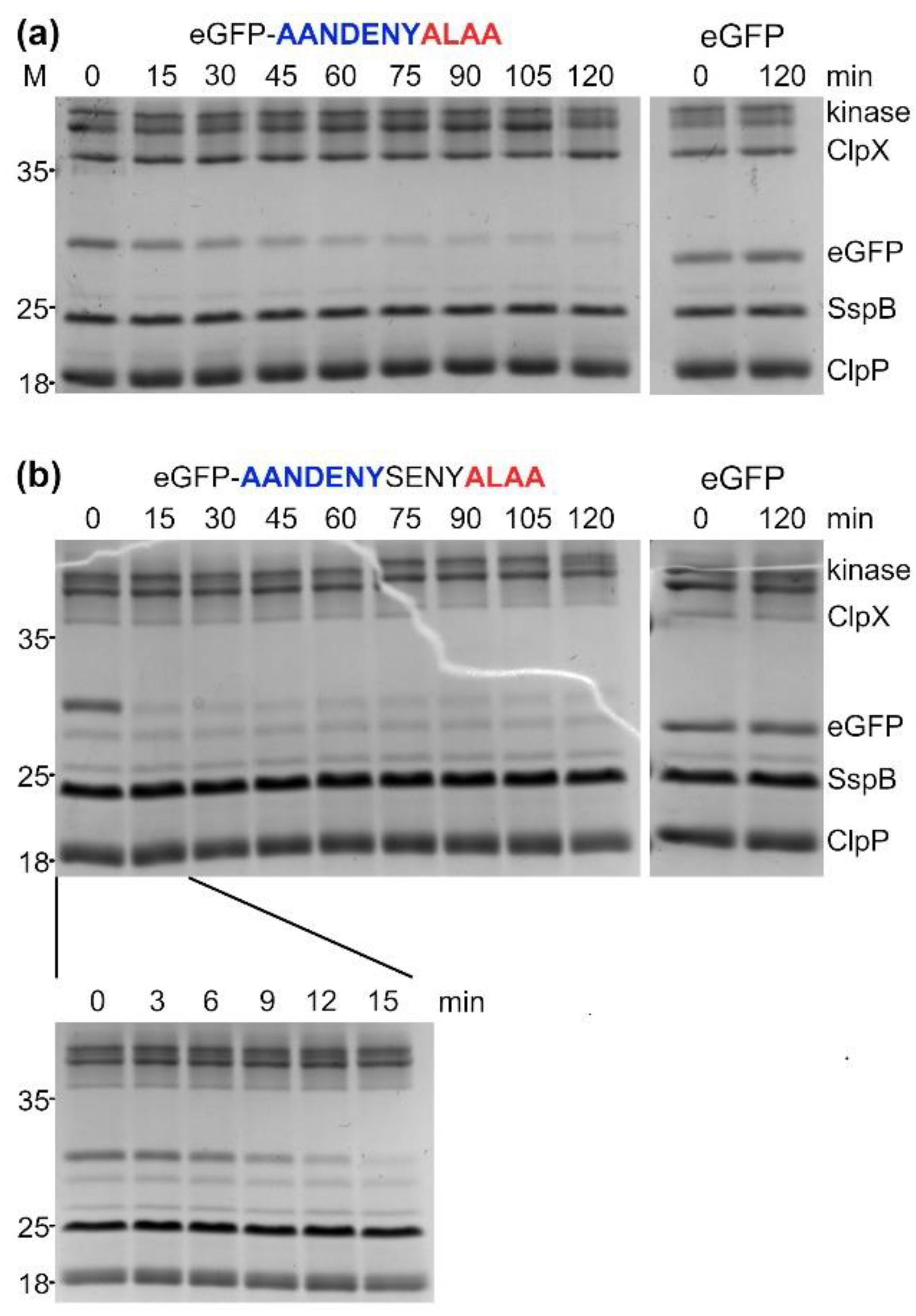 Molecules 26 05936 g005