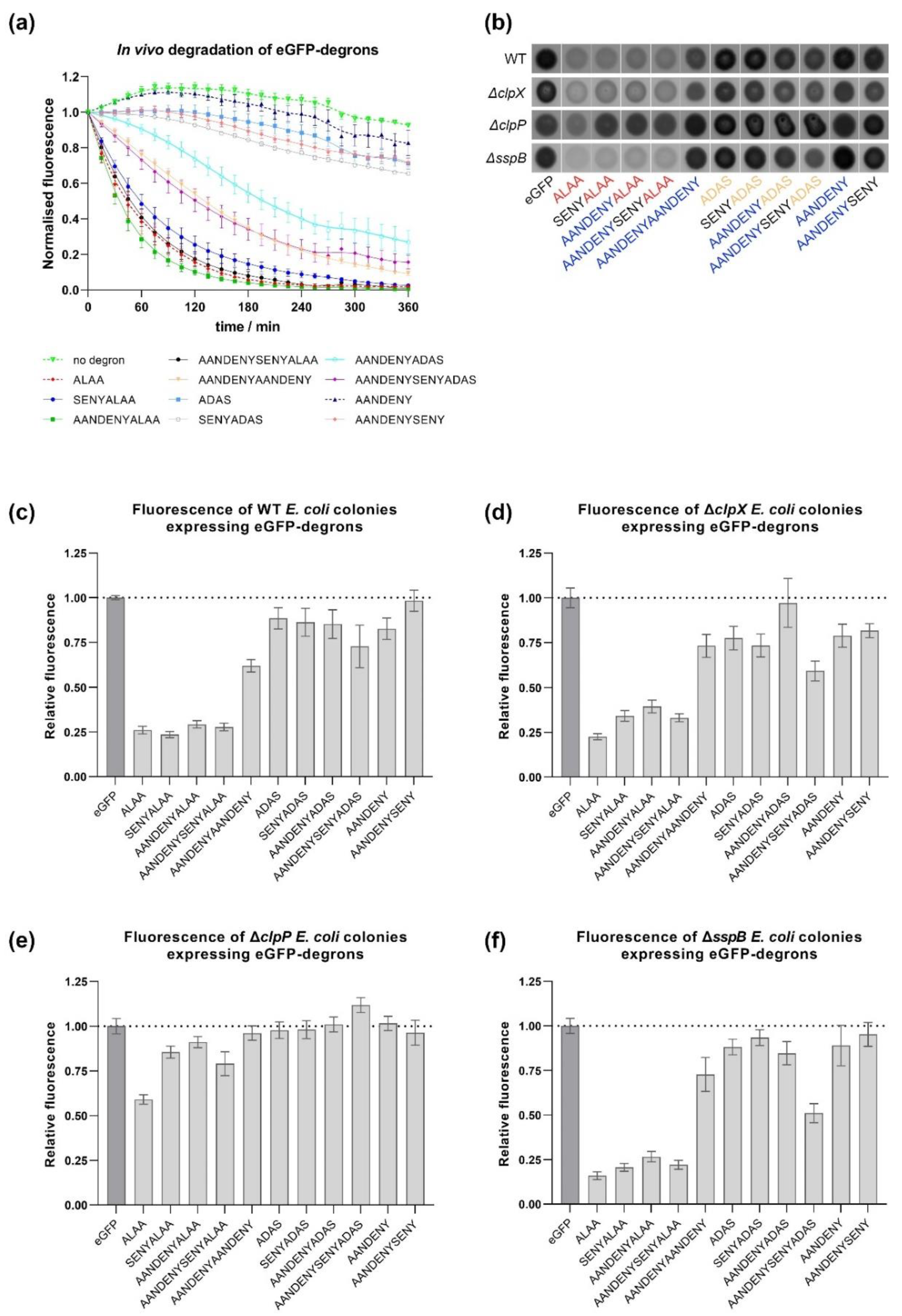 Molecules 26 05936 g006