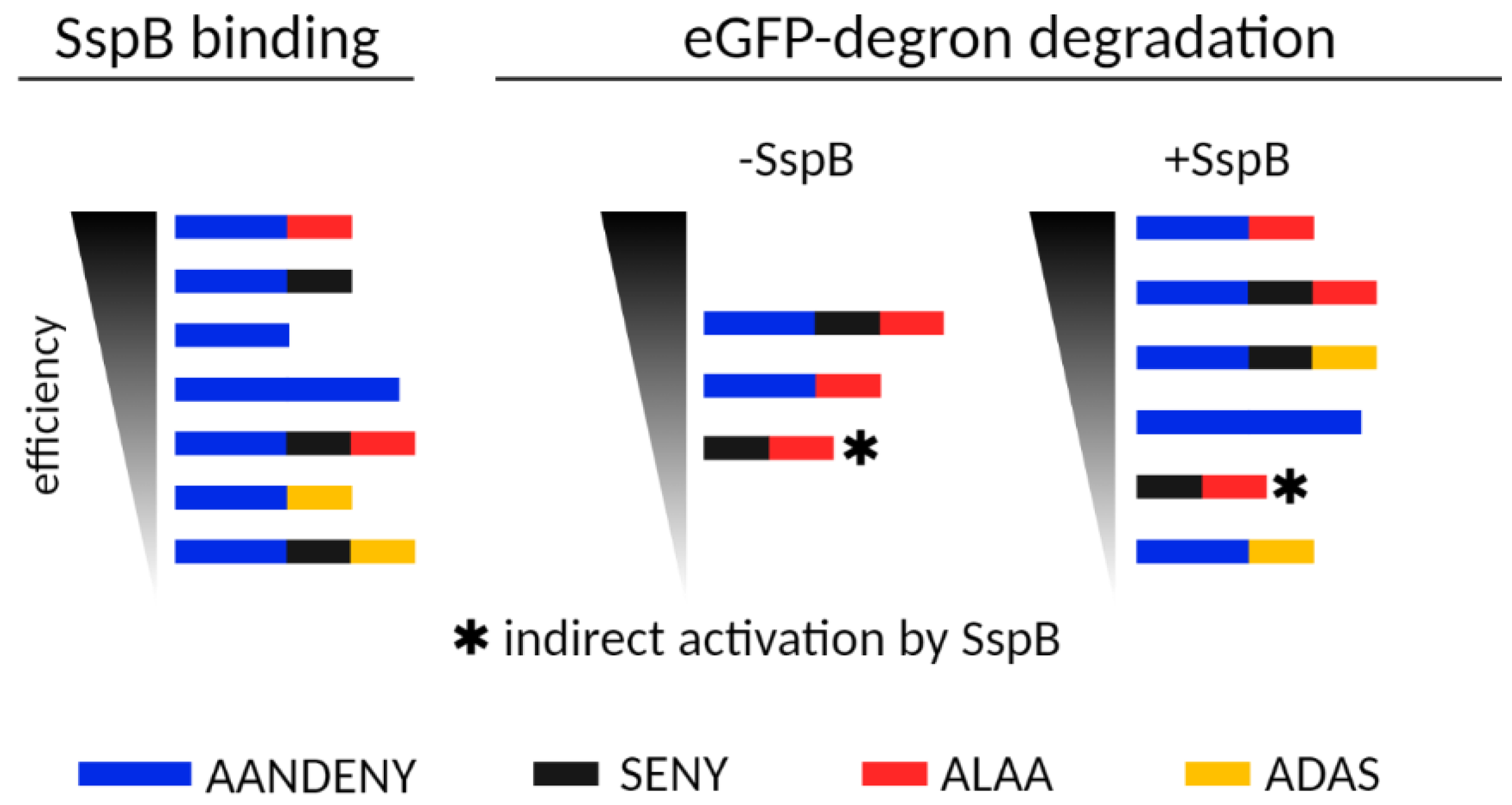 Molecules 26 05936 g007