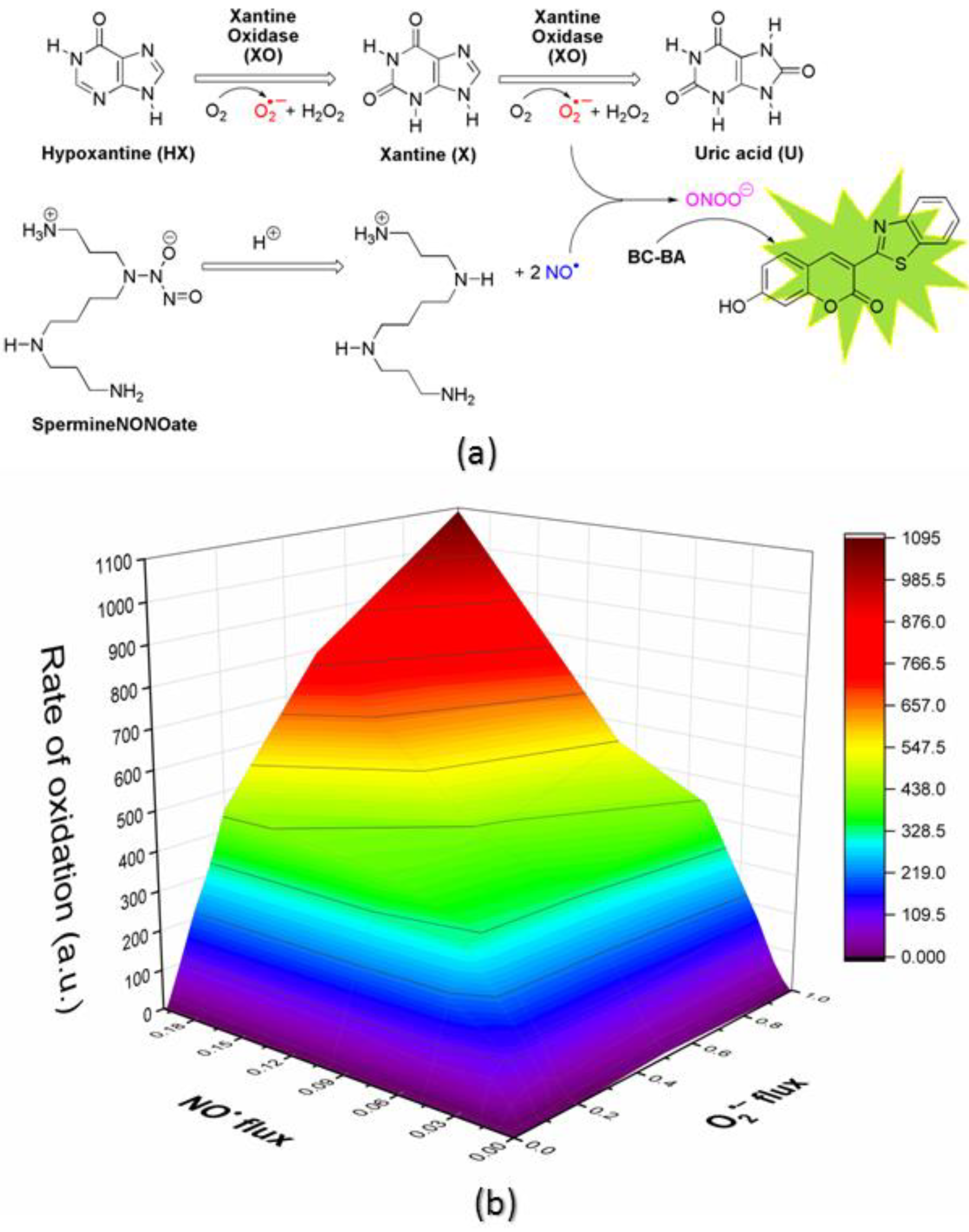 Molecules 26 05940 g002