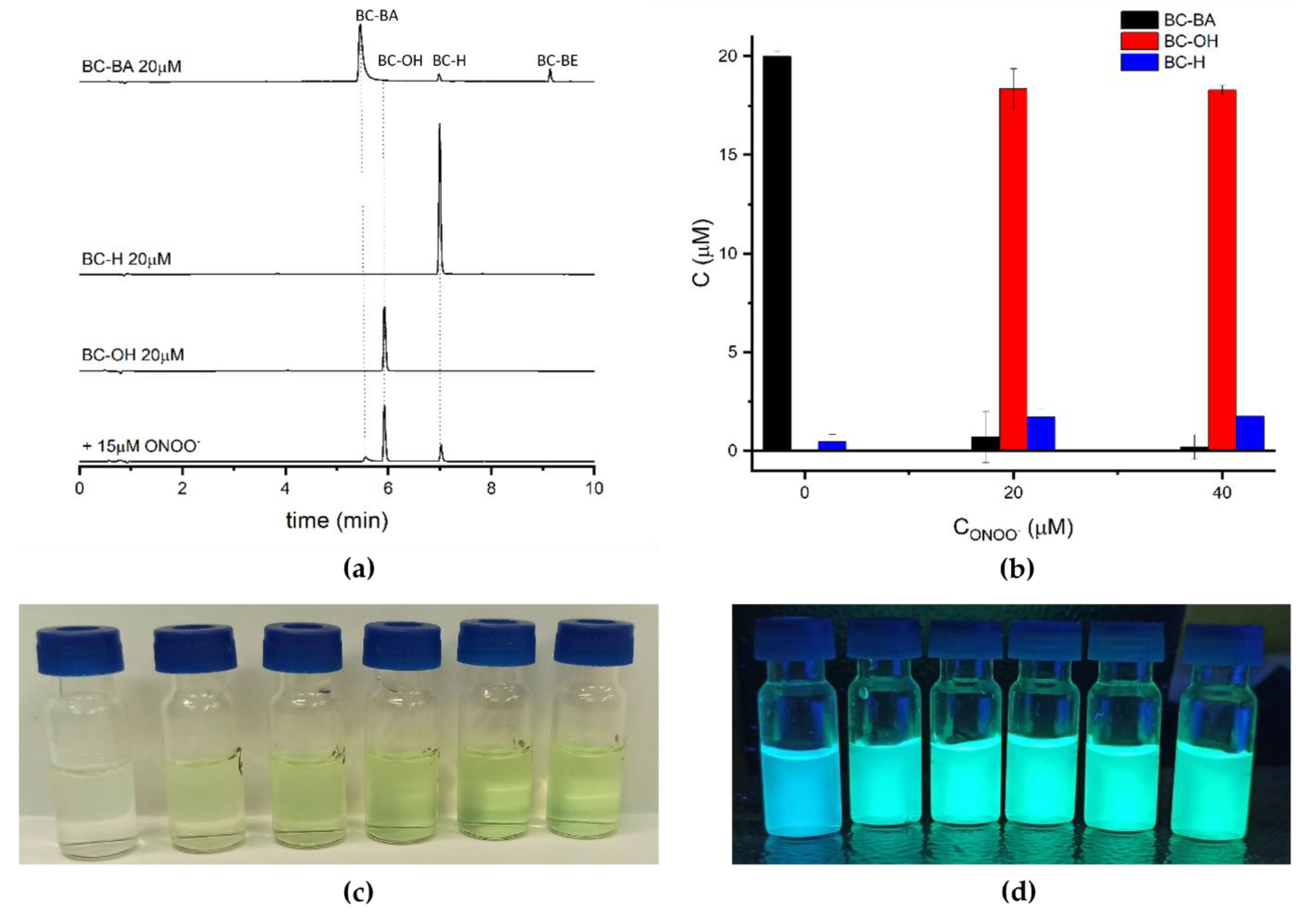 Molecules 26 05940 g003