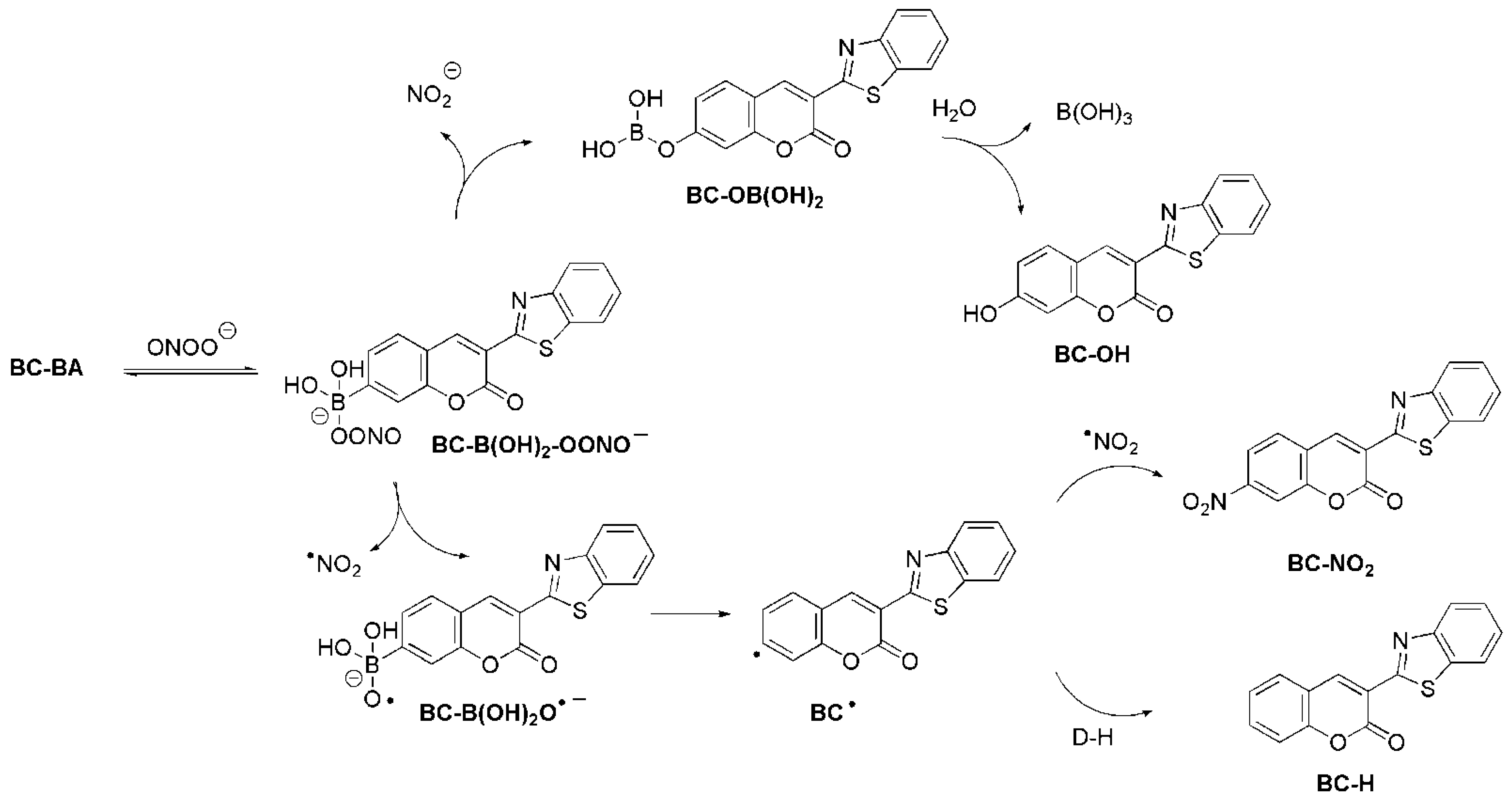 Molecules 26 05940 sch003