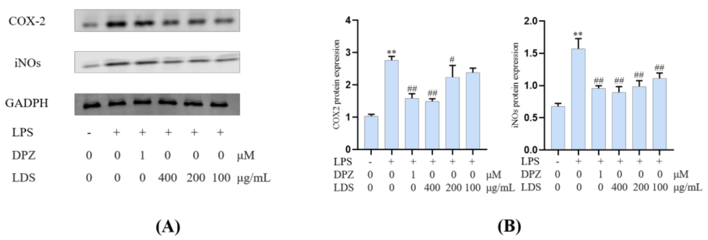 Molecules 26 05946 g008