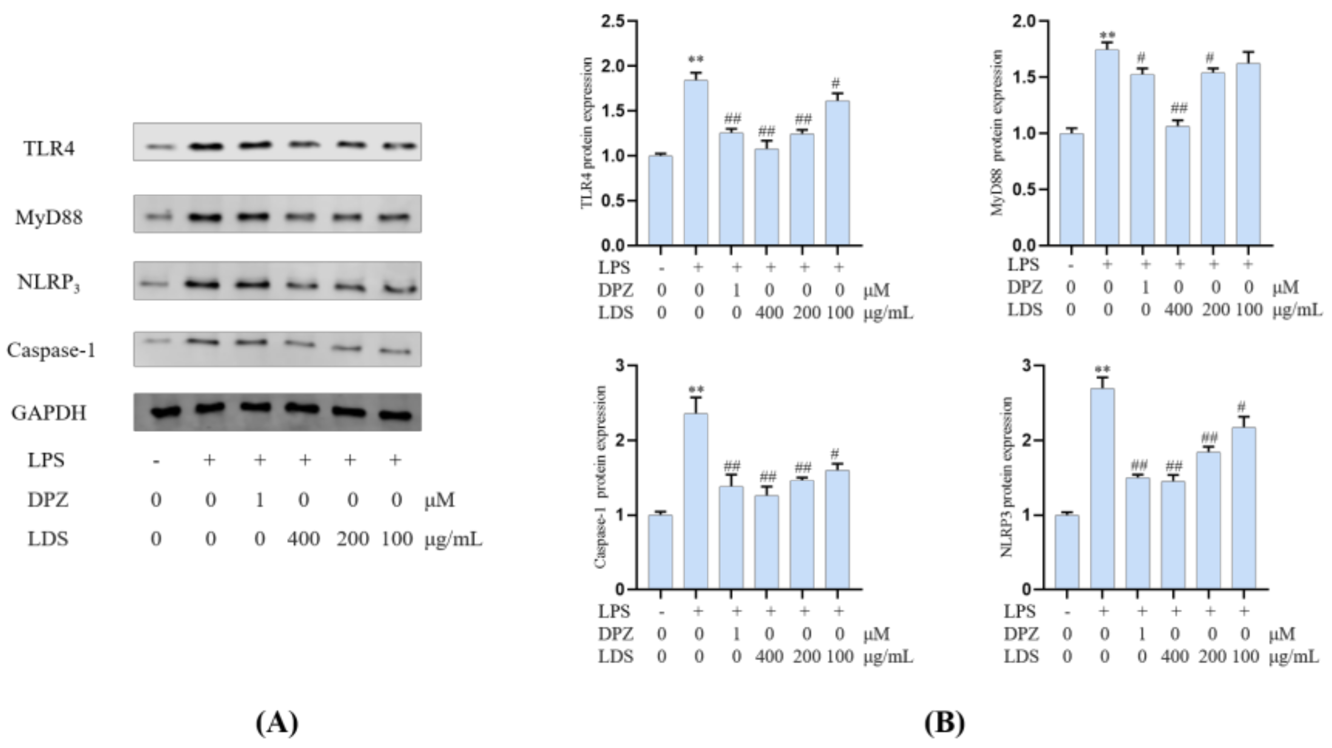Molecules 26 05946 g010