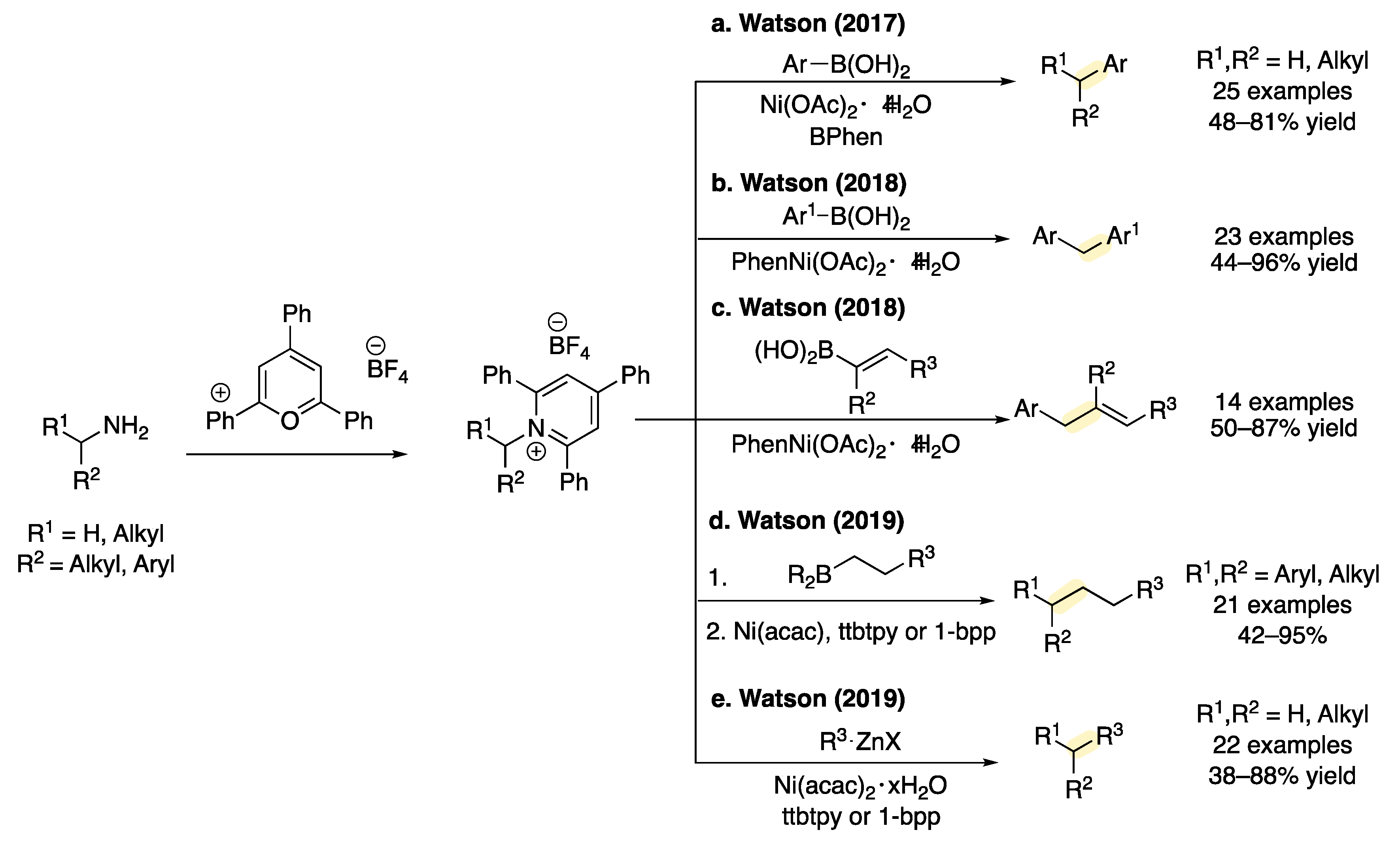Molecules 26 05947 sch003