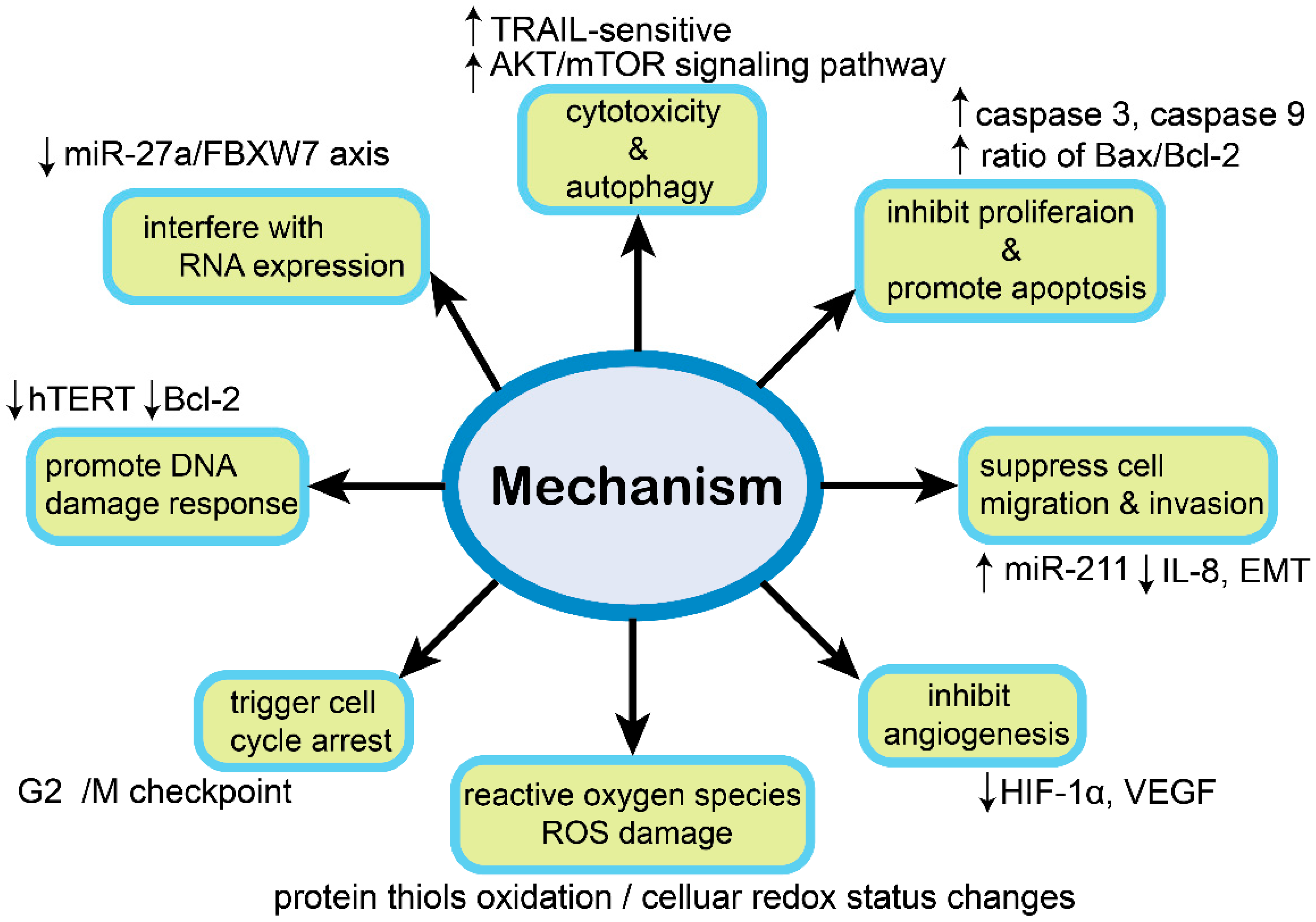 Molecules 26 05949 g002 Molecules 26 05949 g002