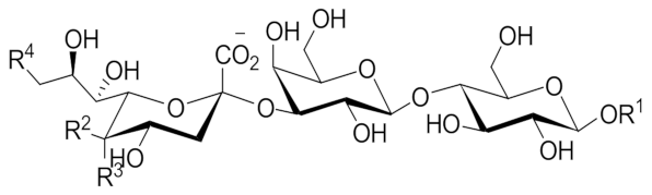 Molecules 26 05950 i011 Molecules 26 05950 i011