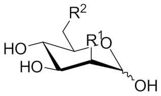 Molecules 26 05950 i012 Molecules 26 05950 i012