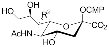 Molecules 26 05950 i014 Molecules 26 05950 i014
