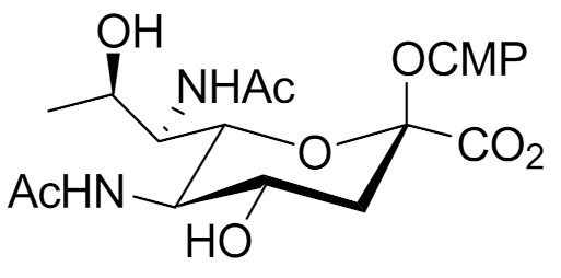 Molecules 26 05950 i032 Molecules 26 05950 i032