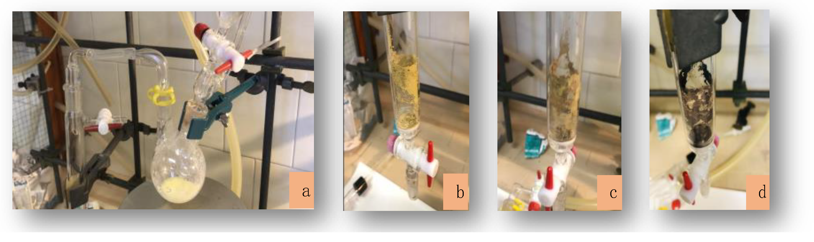 Molecules 26 05954 g001