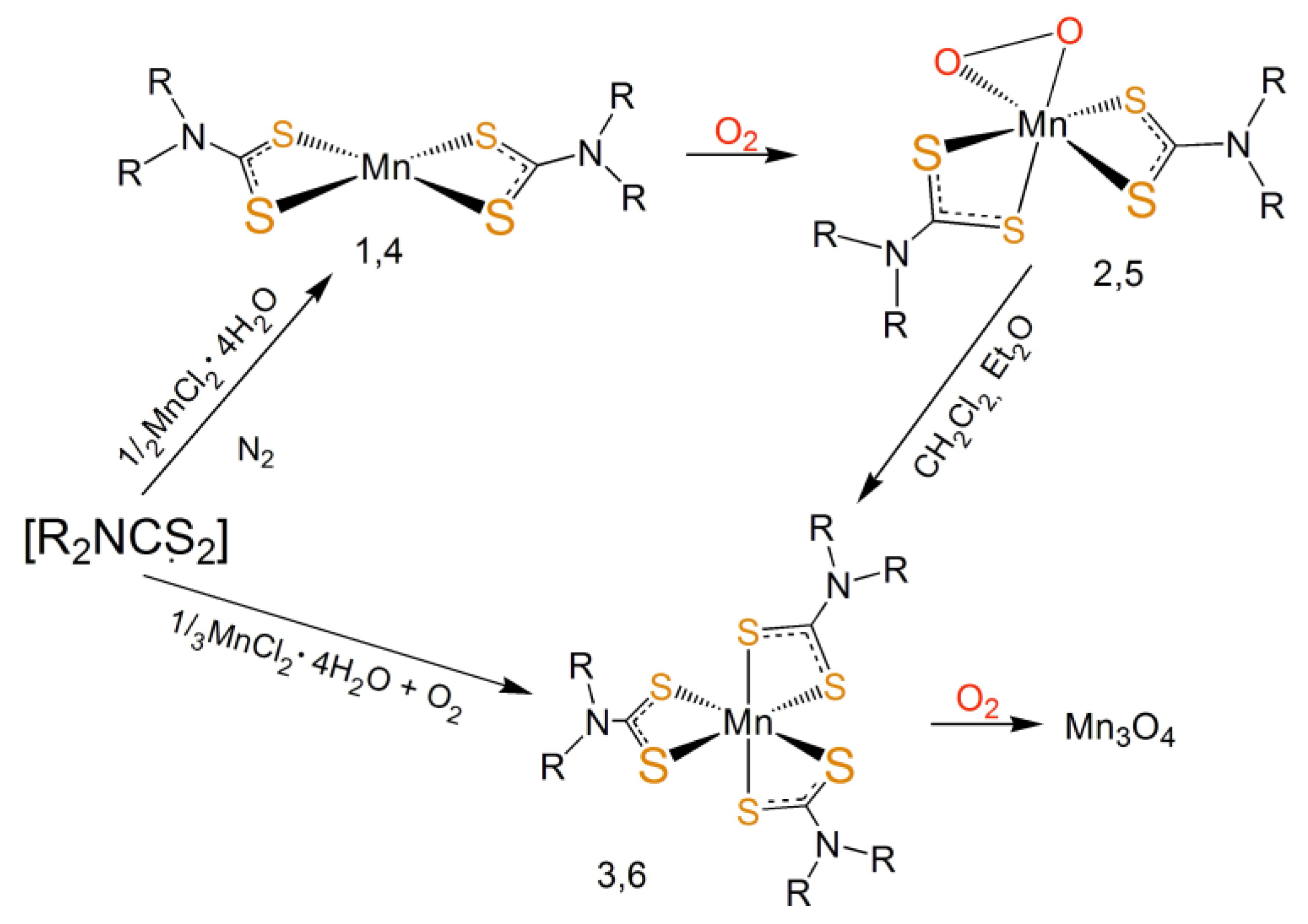 Molecules 26 05954 g004