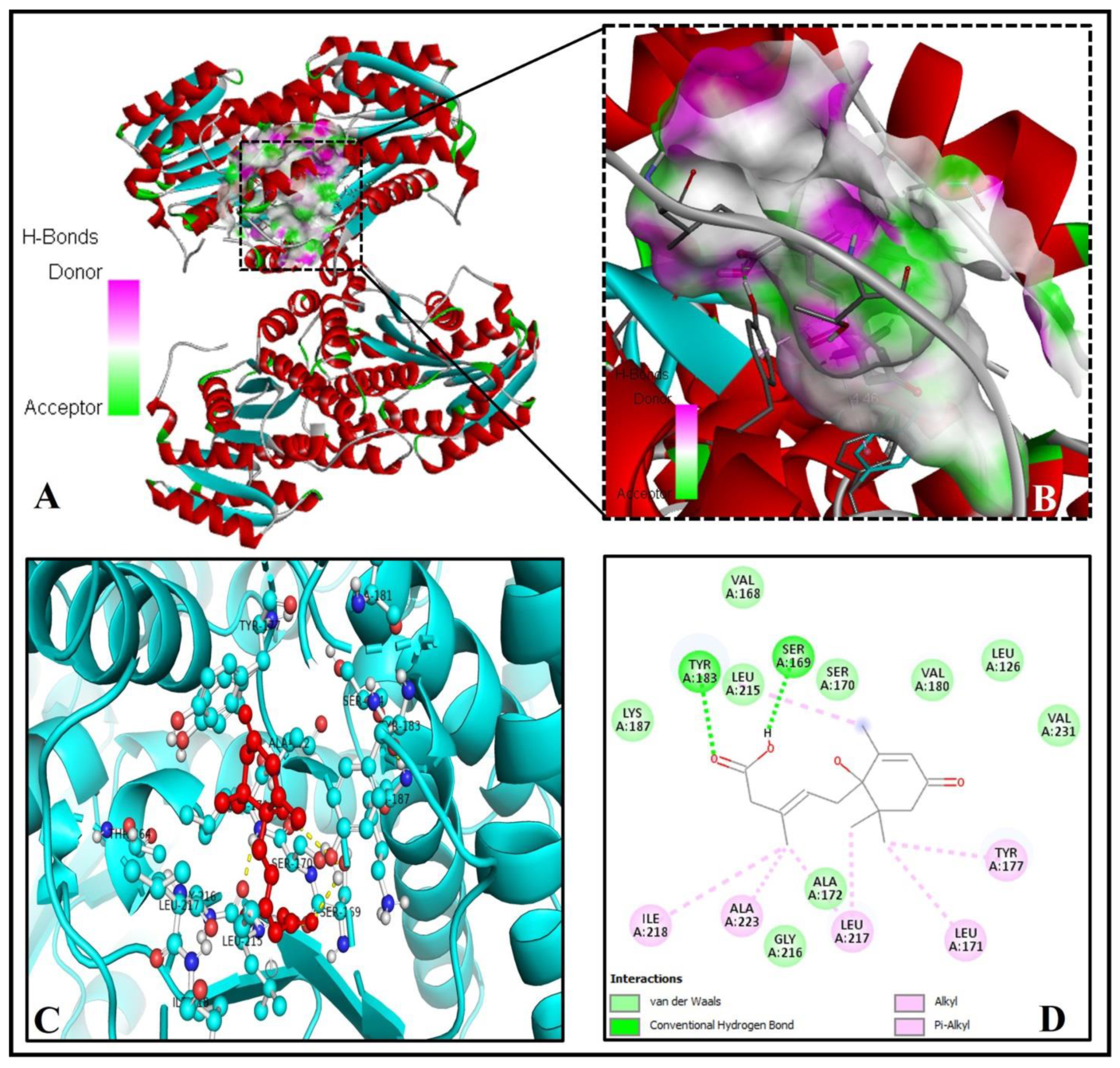 Molecules 26 05957 g002