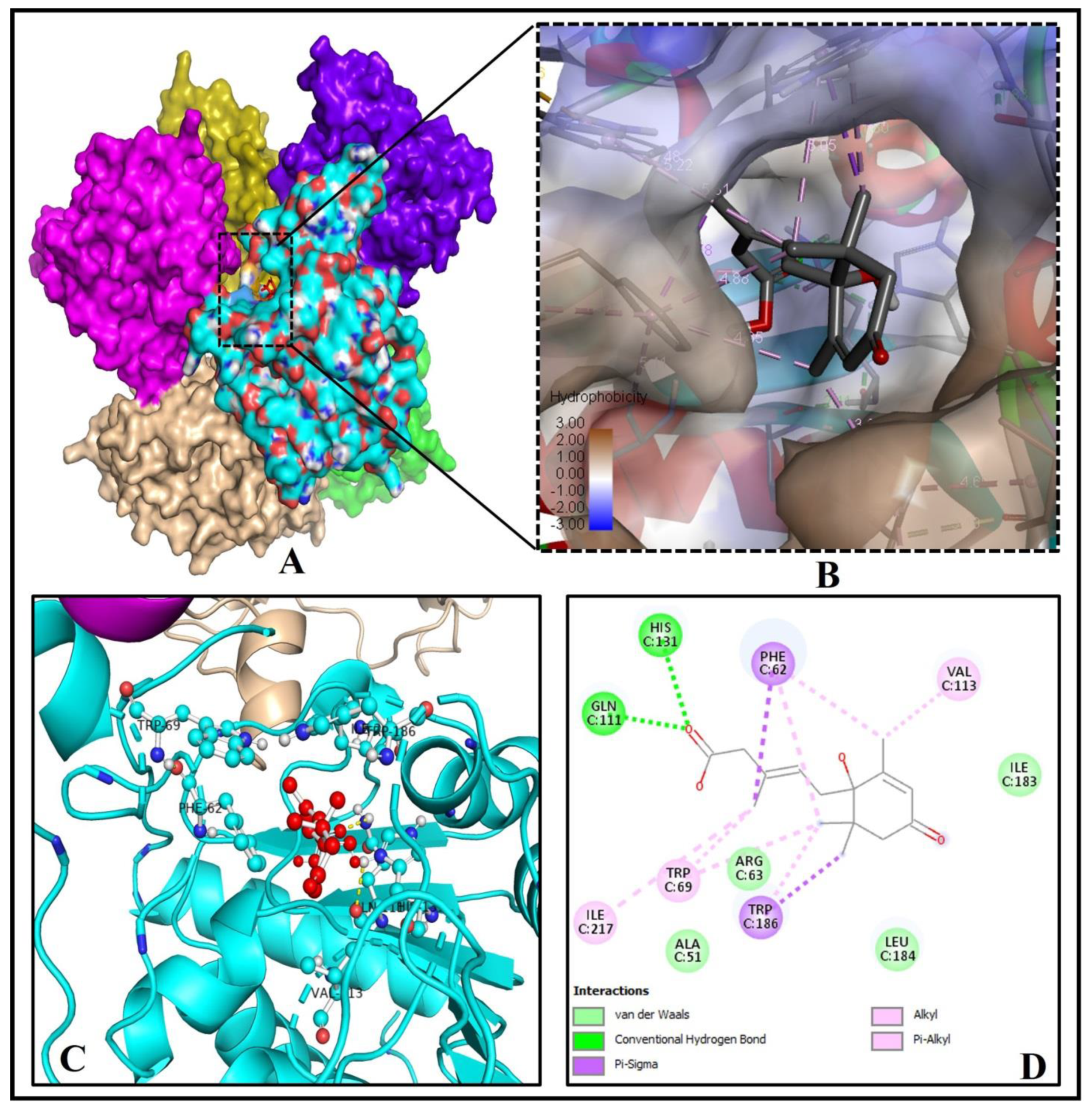 Molecules 26 05957 g005
