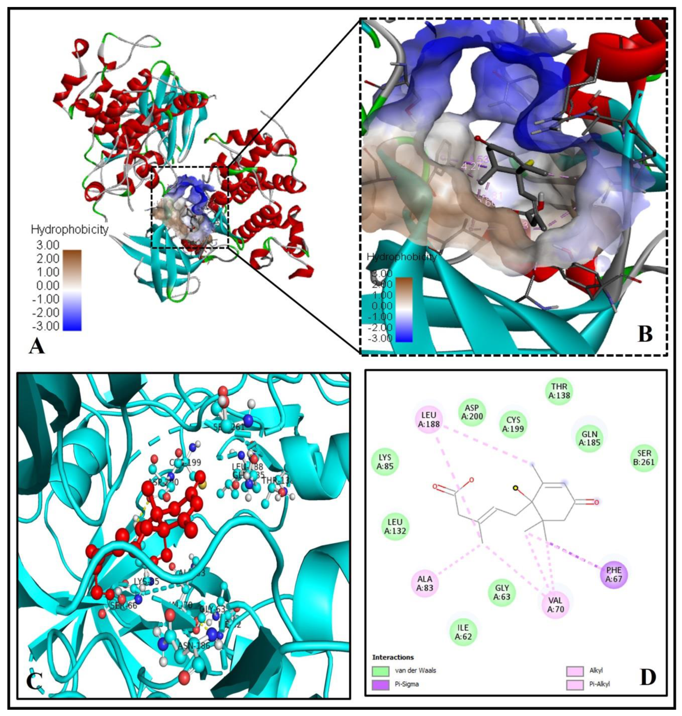 Molecules 26 05957 g008