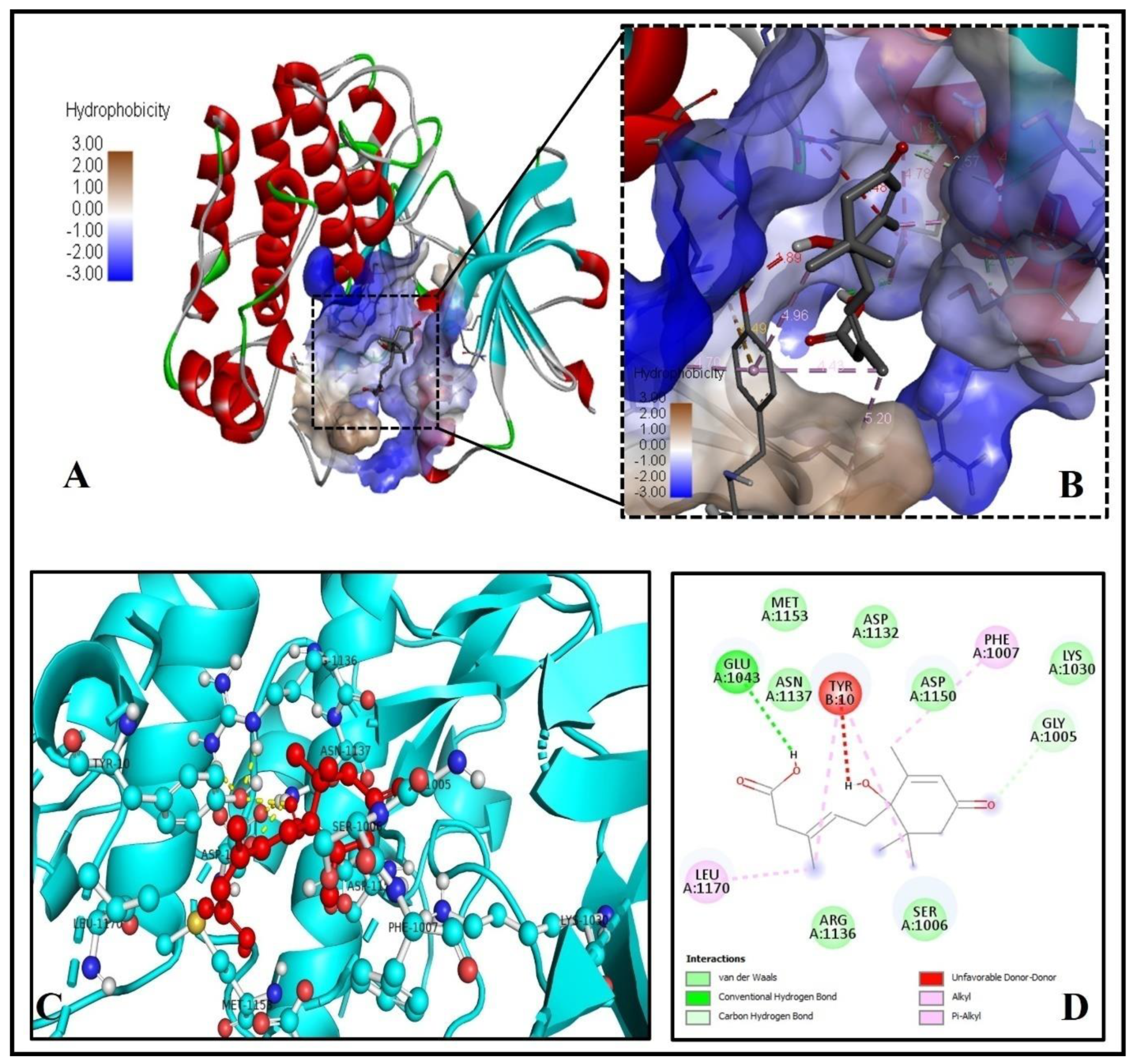 Molecules 26 05957 g010