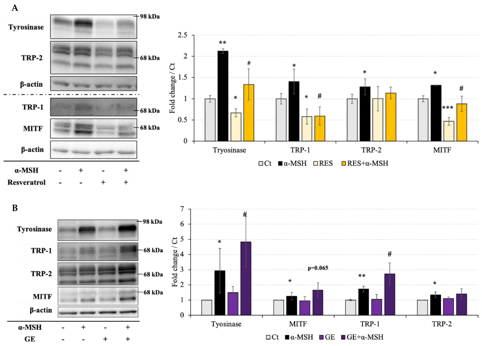 Molecules 26 05959 g004