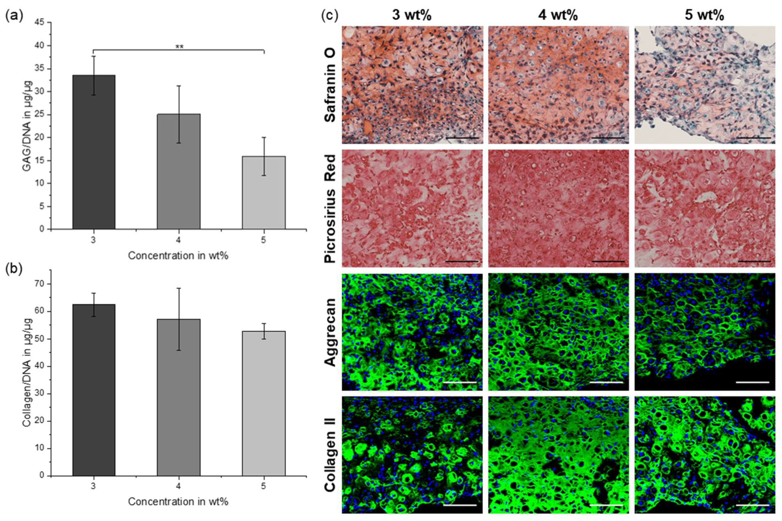 Molecules 26 05963 g007