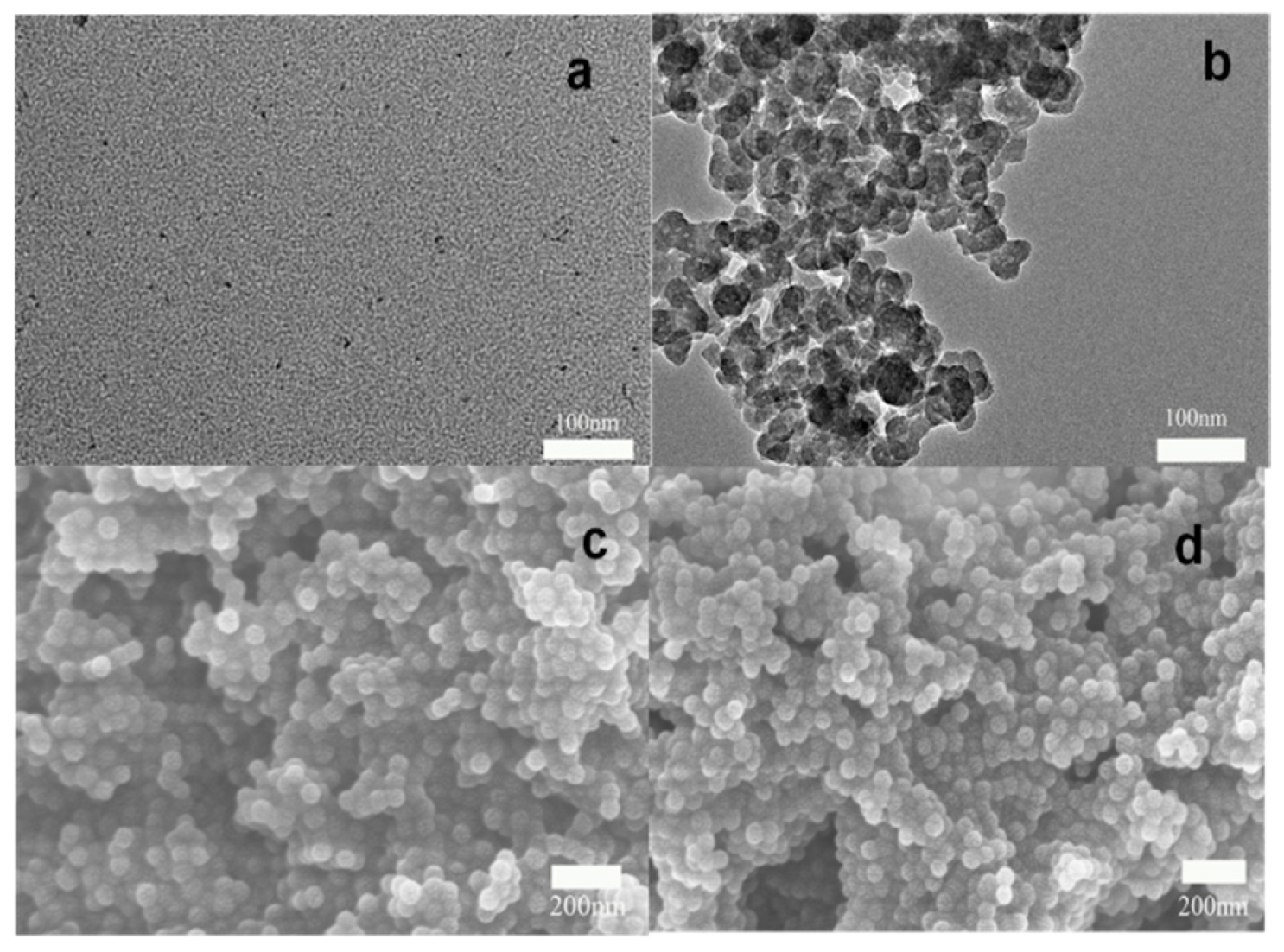 Molecules 26 05965 g002