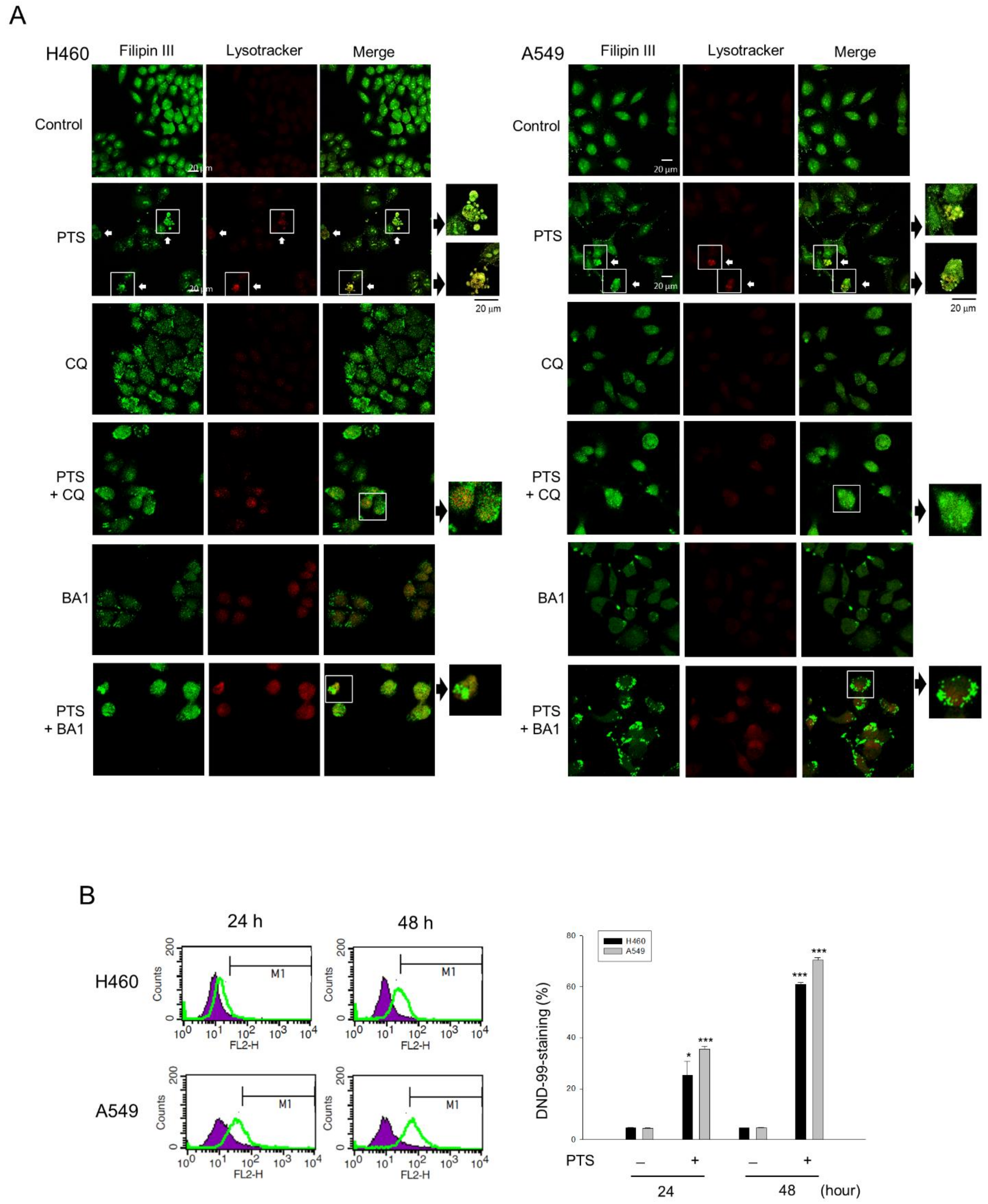 Molecules 26 05967 g005