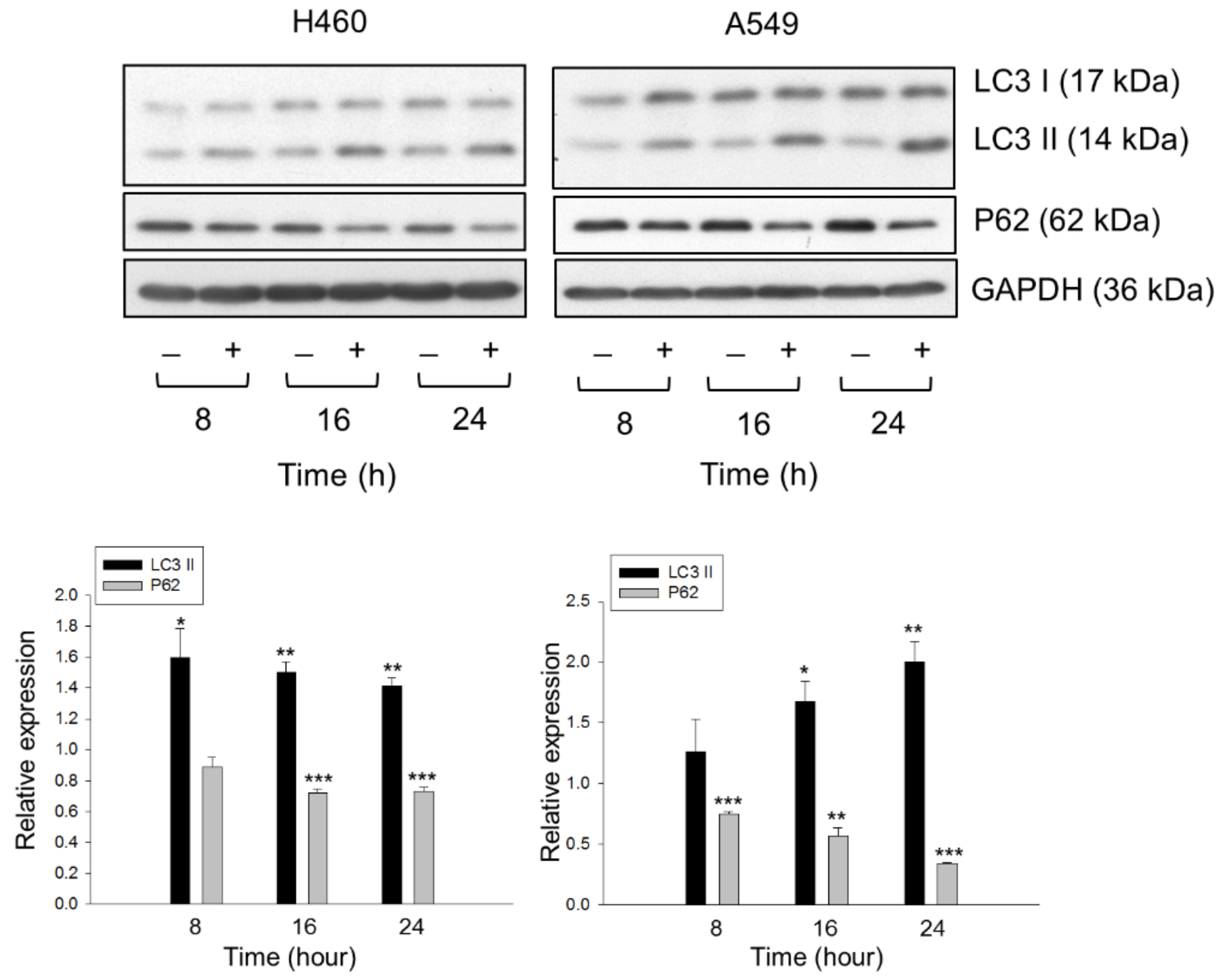 Molecules 26 05967 g006