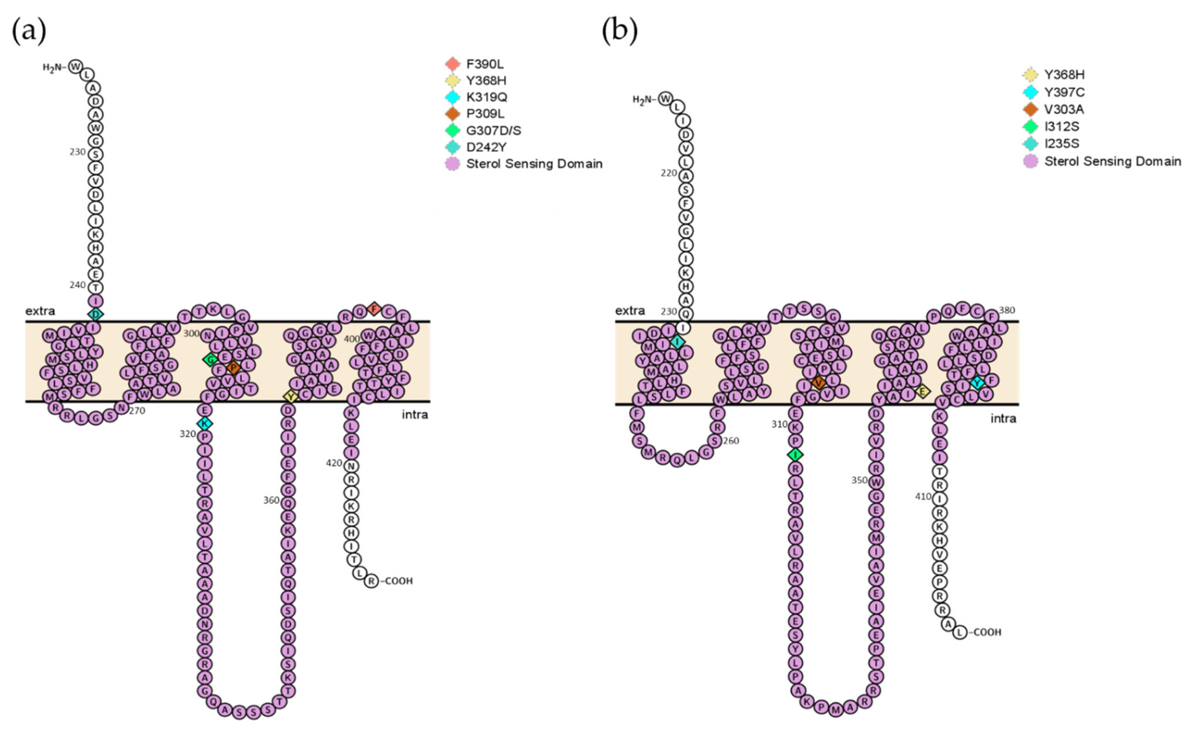 Molecules 26 05975 g002 Molecules 26 05975 g002