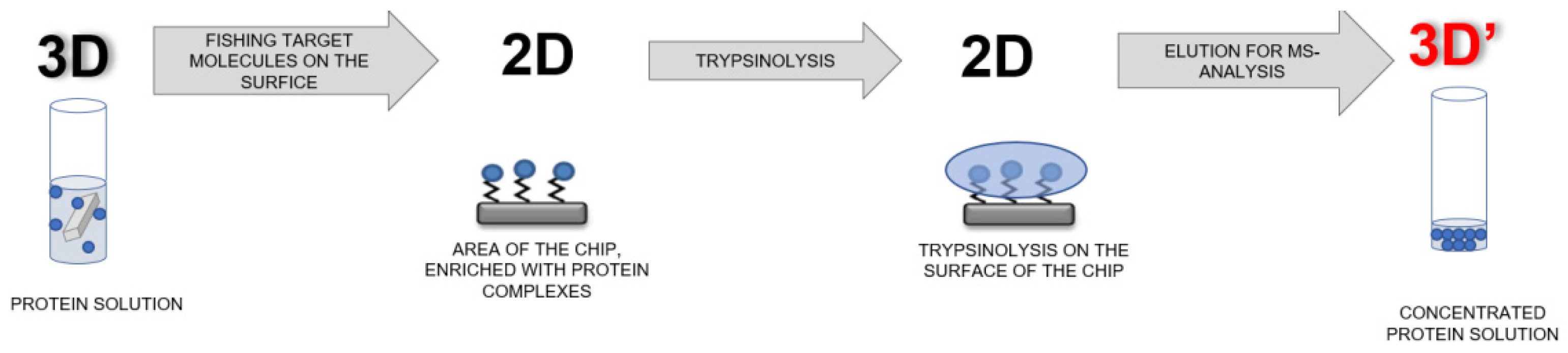 Molecules 26 05979 g002 Molecules 26 05979 g002