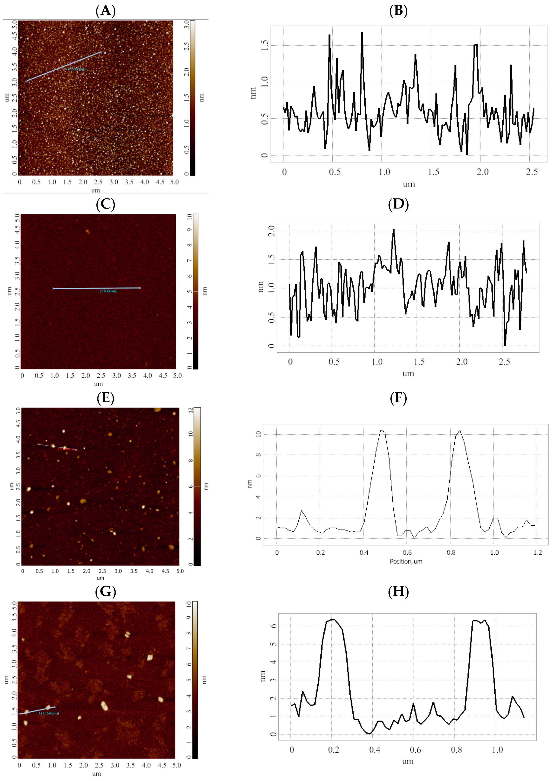 Molecules 26 05979 g003 Molecules 26 05979 g003