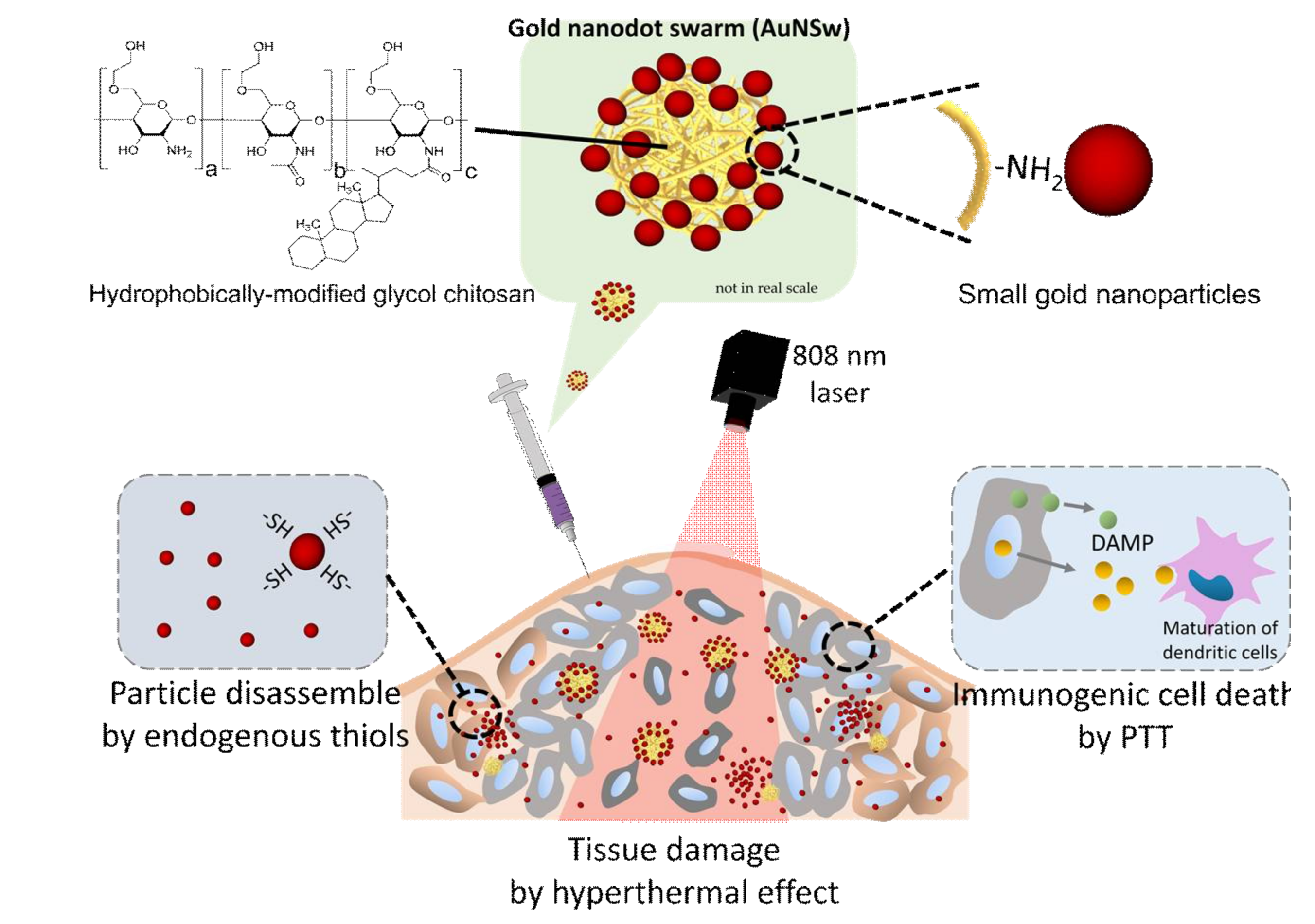Molecules 26 05980 sch001 Molecules 26 05980 sch001