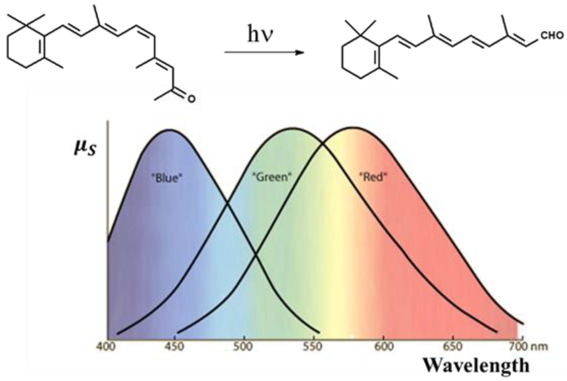 Molecules 26 05987 g004