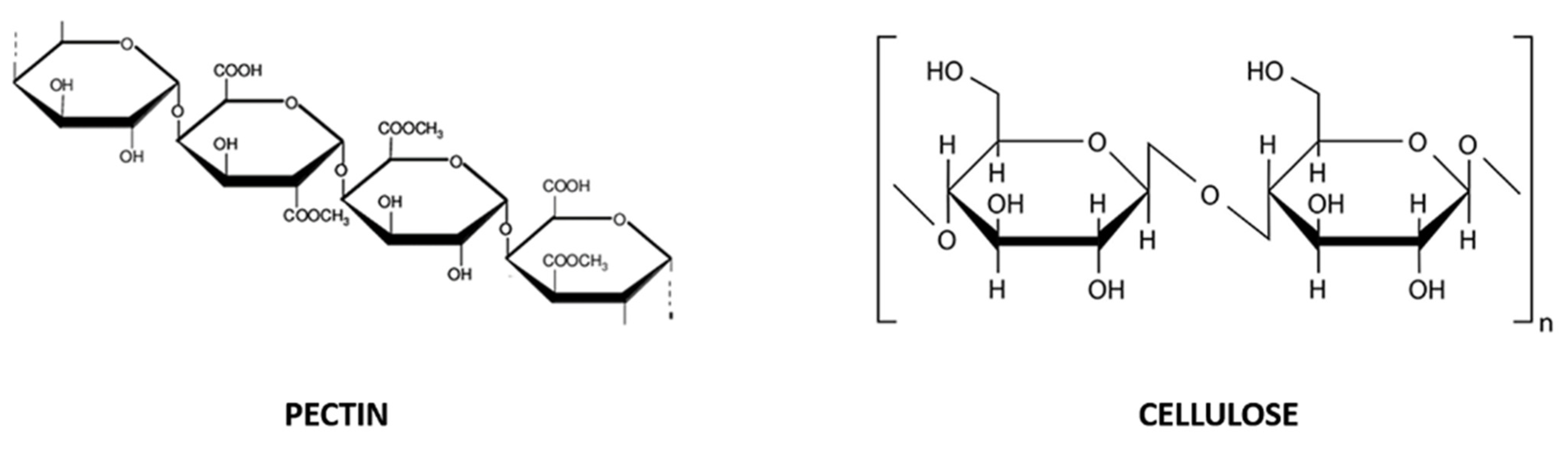 Molecules 26 05991 g002