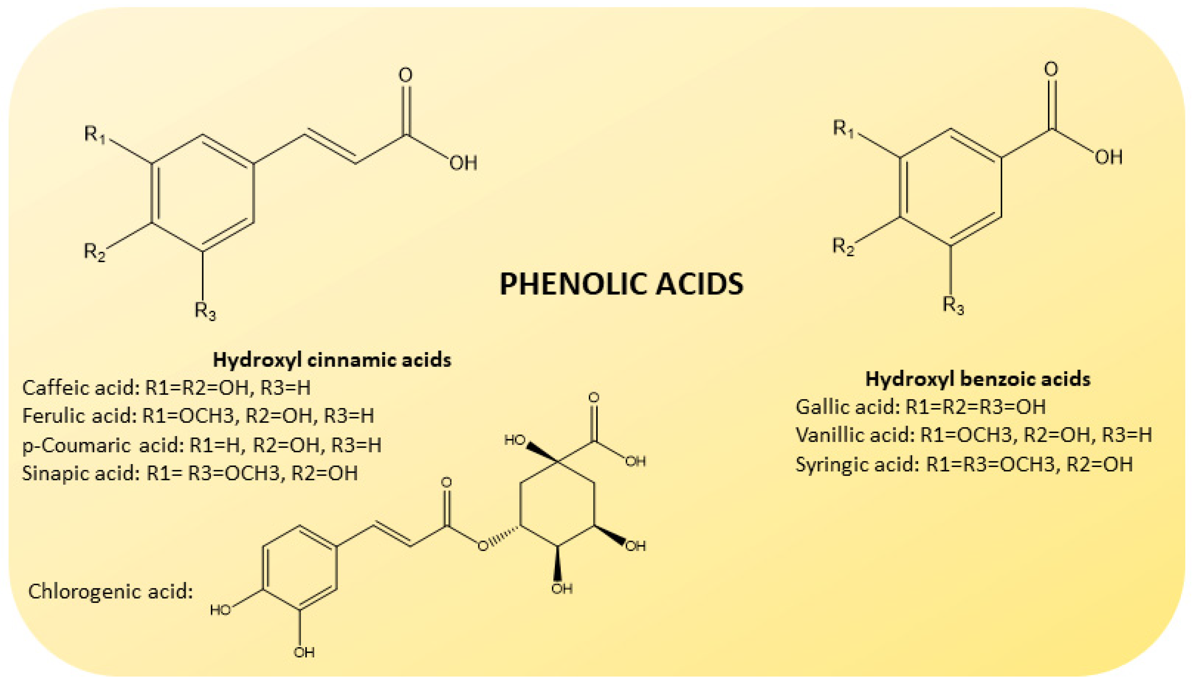 Molecules 26 05991 g005