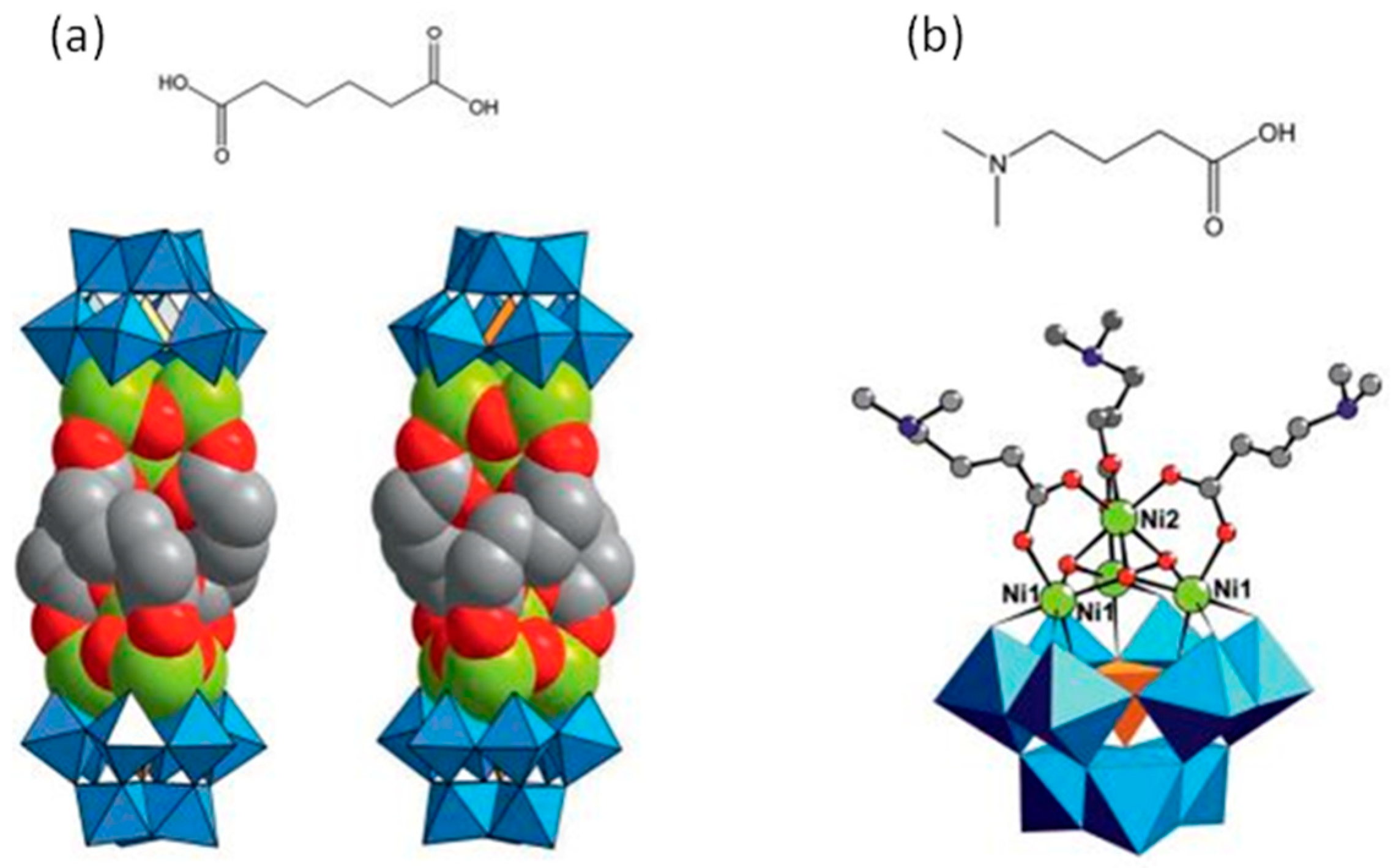 Molecules 26 05994 g002