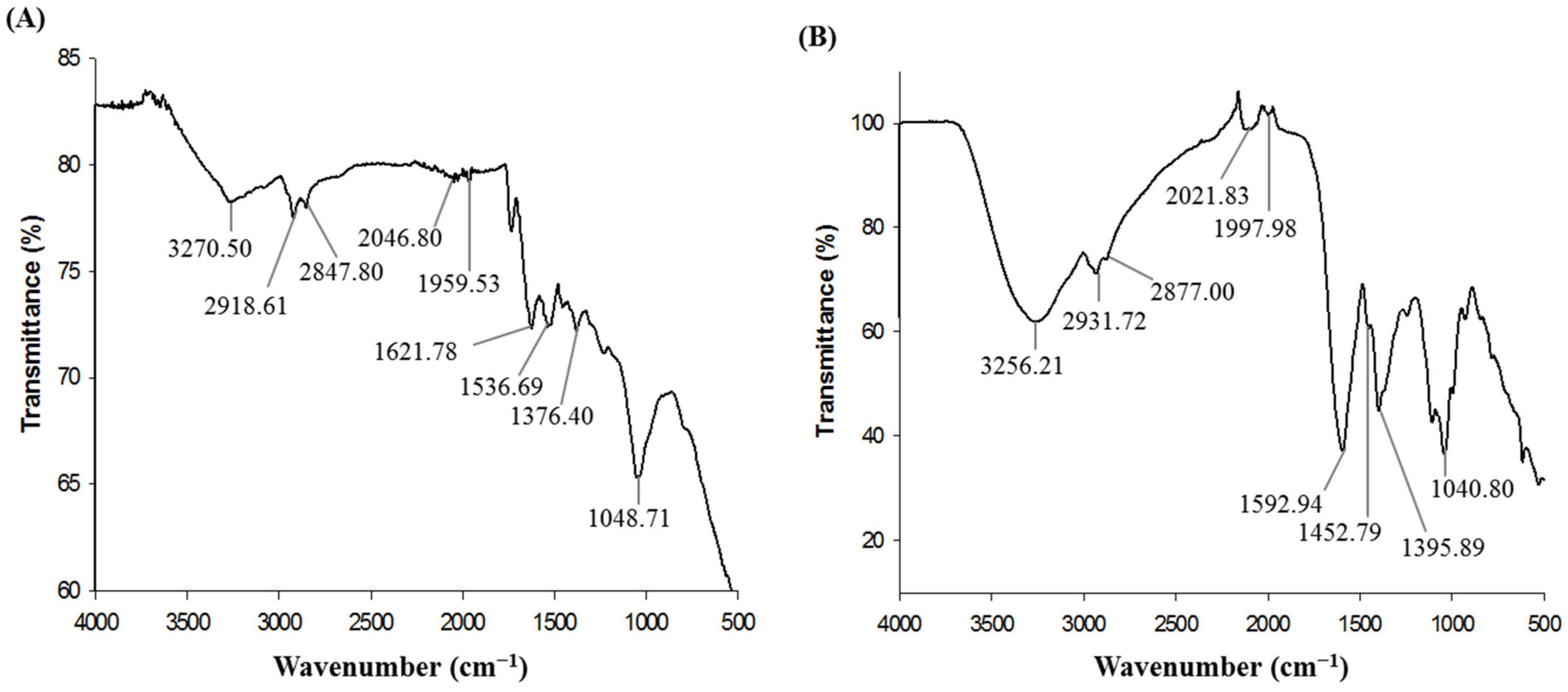 Molecules 26 05996 g004